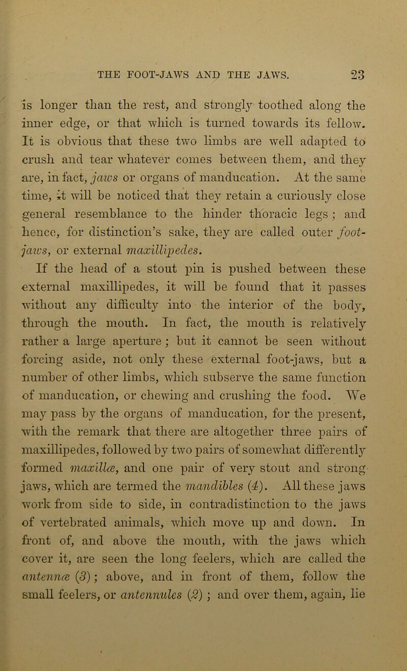 is longer than the rest, and strongly toothed along the inner edge, or that which is turned towards its fellow. It is obvious that these two limbs are well adapted to crush and tear whatever comes between them, and they are, in fact, jaios or organs of manducation. At the same time, it will be noticed that the}'' retain a curiously close general resemblance to the hinder thoracic legs ; and hence, for distinction’s sake, they are called outer foot- jazi's, or external maxilliijedes. If the head of a stout pin is pushed between these external maxillipedes, it will be found that it passes without au}^ difficulty into the interior of the body, through the mouth. In fact, the mouth is relatively rather a large aperture; but it cannot be seen without forcing aside, not only these external foot-jaws, but a number of other limbs, which subserve the same function of manducation, or chewing and crushing the food. We may pass by the organs of manducation, for the present, with the remark that there are altogether three pairs of maxillipedes, followed by two pairs of somewhat difierently formed maxillcB, and one pair of very stout and strong jaws, which are termed the mandibles (4). All these jaws work from side to side, in contradistinction to the jaws of vertebrated animals, which move up and down. In front of, and above the mouth, with the jaws which cover it, are seen the long feelers, which are called the antemuB (5); above, and in front of them, follow the small feelers, or antennules {2); and over them, again, lie