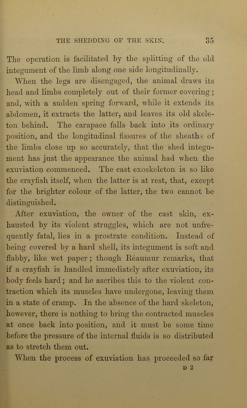 The operation is facilitated by the splitting of the old integument of the limb along one side longitudinally. When the legs are disengaged, the animal draws its head and limbs completely out of their former covering ; and, with a sudden spring forward, while it extends its abdomen, it extracts the latter, and leaves its old skele- ton behind. The carapace falls back into its ordinary position, and the longitudinal fissures of the sheaths of the limbs close up so accurately, that the shed integu- ment has just the appearance the animal had when the exuviation commenced. The cast exoskeleton is so lilie the crayfish itself, when the latter is at rest, that, excei)t for the brighter colour of the latter, the two cannot be distinguished. After exuviation, the owner of the cast skin, ex- hausted by its violent struggles, which are not unfre- quently fatal, lies in a prostrate condition. Instead of being covered by a hard shell, its integument is soft and flabby, hke wet paper; though Reaumur remarks, that if a crajdish is handled immediately after exuviation, its body feels hard; and he ascribes this to the violent con- traction which its muscles have undergone, leaving them in a state of cramp. In the absence of the hard skeleton, however, there is nothing to bring the contracted muscles at once back into position, and it must be some time before the pressure of the internal fluids is so distributed as to stretch them out. When the process of exuviation has proceeded so far