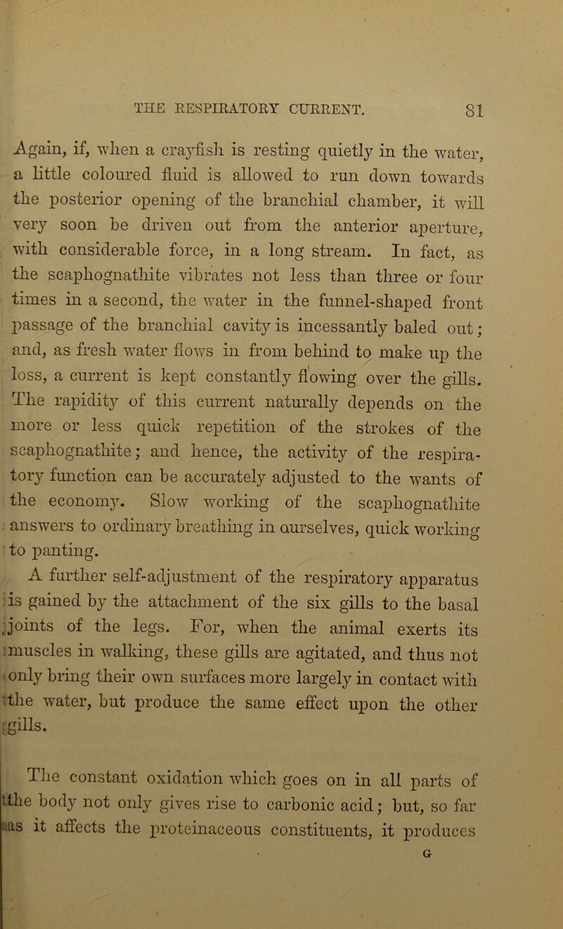 i^.gain, if, when a crajr&sh is resting quietly in the water, a little coloured fluid is allowed to run down towards the posterior opening of the branchial chamber, it will very soon be driven out from the anterior aperture, with considerable force, in a long stream. In fact, as the scaphognathite vibrates not less than three or four times in a second, the water in the funnel-shaped front passage of the branchial cavity is incessantly baled out ; and, as fresh water fioAvs in from belimd to make up the loss, a current is kept constantly flowing over the gills. The raxDidity of this current naturally depends on the more or less quick repetition of the strokes of the scaphognathite; and hence, the activity of the respira- tory function can be accurately adjusted to the wants of the economy. Slow worldng of the scaphognathite : answers to ordinary breathing in aurselves, quick worldng to panting. A further self-adjustment of the respiratory apparatus : is gained by the attachment of the six gills to the basal j'oints of the legs. For, when the animal exerts its ; muscles in waUdng, these giUs are agitated, and thus not ' only bring their own surfaces more largely in contact with Tthe water, but produce the same effect upon the other ; gills. The constant oxidation which goes on in all parts of Ithe body not only gives rise to carbonic acid; but, so far tas it affects the proteinaceous constituents, it produces G