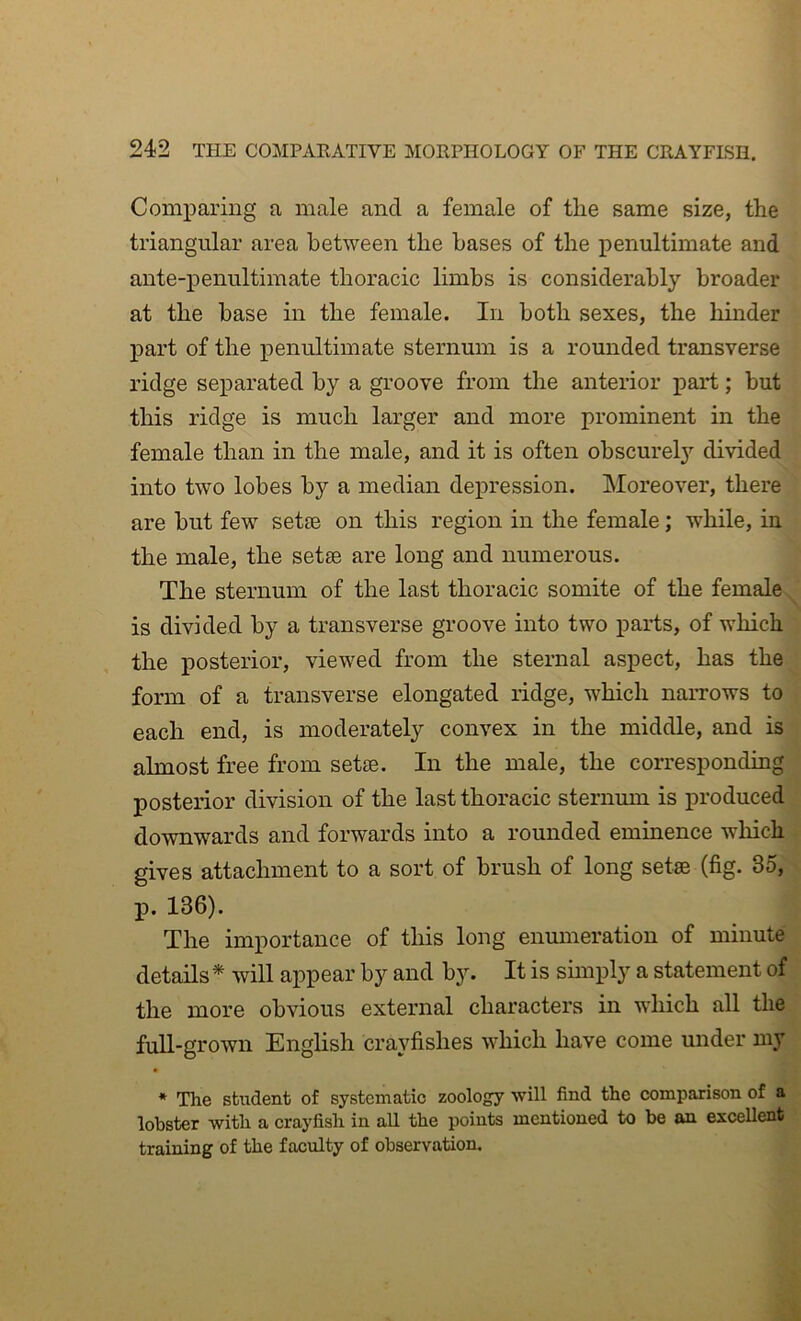 Comparing a male and a female of the same size, the triangular area between the bases of the penultimate and ante-penultimate thoracic limbs is considerably broader at the base in the female. In both sexes, the hinder part of the penultimate sternum is a rounded transverse ridge separated by a groove from the anterior part; but this ridge is much larger and more prominent in the female than in the male, and it is often obscurely divided i into two lobes by a median depression. Moreover, there > are but few set£e on this region in the female; while, in { the male, the setse are long and numerous. J The sternum of the last thoracic somite of the female J is divided by a transverse groove into two parts, of which^ the posterior, viewed from the sternal aspect, has thei form of a transverse elongated ridge, which narrows to each end, is moderately convex in the middle, and is almost free from setae. In the male, the corresponding posterior division of the last thoracic sternum is produced downwards and forwards into a rounded eminence wliich gives attachment to a sort of brush of long setae (fig. 3o,1 p. 136). The importance of this long enumeration of minute details * will appear by and by. It is simply a statement of the more obvious external characters in which all the full-grown English crayfishes which have come under my * The student of systematic zoology will find the comparison of a lobster with a crayfish in aU the points mentioned to be an excellent ’ training of the faculty of observation.