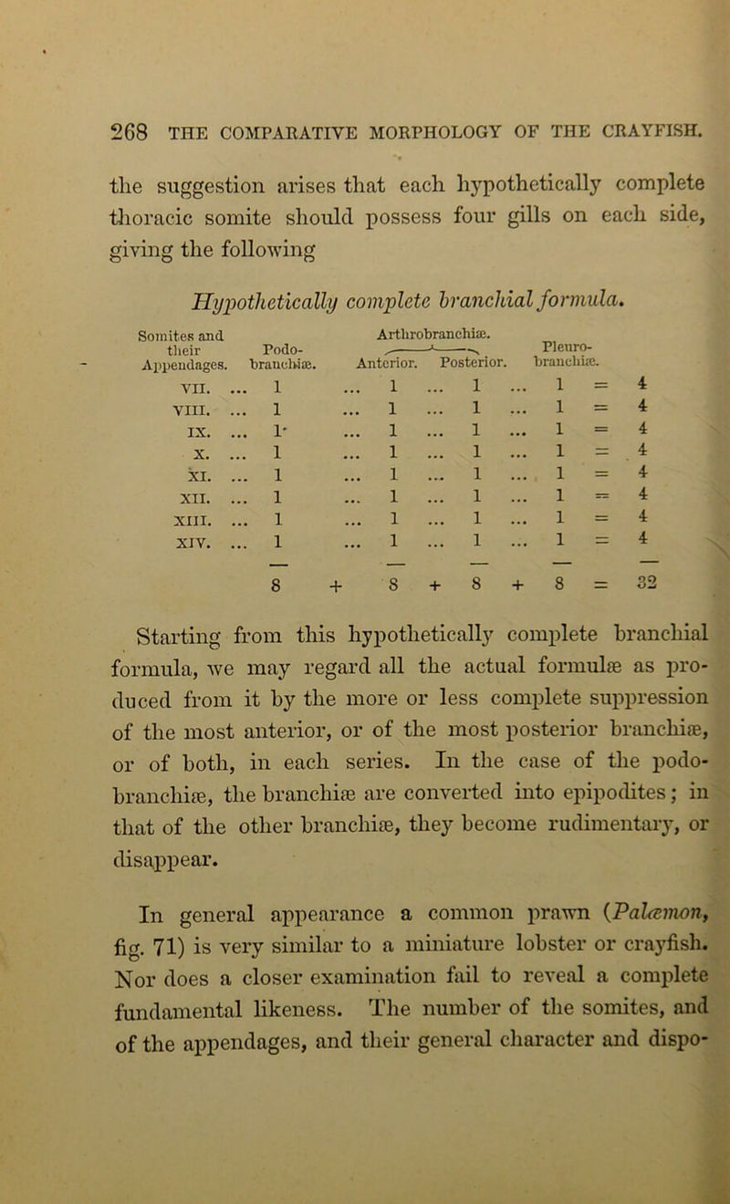 the suggestion arises that each hypothetically complete thoracic somite should possess four gills on each side, giving the following Hypothetically complete branchial formula. Somites and Arthrobranchiaj. Pleuro- branchiaj. their Appendages. Podo- hrancWiB. ^  Anterior. Posterior. VII. ... 1 1 ... 1 ... 1 = 4 VIII. ... 1 ... 1 ... 1 ... 1 = 4 IX. ... 1* ... 1 ... 1 ... 1 = 4 X. ... 1 ... 1 ... 1 ... 1 = 4 XI. ... 1 ... 1 ... 1 ... 1 = 4 XII. ... 1 ... 1 ... 1 1 = 4 XIII. ... 1 ... 1 ... 1 ... 1 = 4 XIV. ... 1 ... 1 ... 1 ... 1 = 4 — — — — 8 8 + 8 + 8 = 32 Starting from this hypothetically complete branchial formula, we may regard all the actual formulte as j)ro- duced from it by the more or less complete suppression of the most anterior, or of the most posterior hranchiffi, or of both, in each series. In the case of the podo- branchi^e, the branchiae are converied into epipodites; in that of the other branchiae, they become rudimentary, or disappear. In general appearance a common prawn {Palcemon, fig. 71) is very similar to a miniature lobster or cra3^fish. Nor does a closer examination fail to reveal a comjdete fundamental likeness. The number of the somites, and of the appendages, and their general character and dispo-