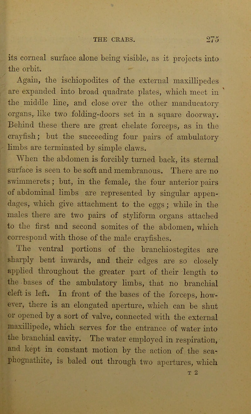 its corneal surface alone being visible, as it projects into the orbit.  Again, the ischiopoclites of the external maxillipecles are expanded into broad quadrate plates, which meet in the middle line, and close over the other manducatory organs, like two folding-doors set in a square doorway. Behind these there are great chelate forceps, as in the crayfish; but the succeeding four pairs^of ambulatory limbs are terminated by simple claws. When the abdomen is forcibly turned back, its sternal surface is seen to be soft and membranous. There are no swimmerets; but, in the female, the four anterior pairs of abdominal limbs are represented by singular appen- dages, which give attachment to the eggs; wliile in the males there are two pairs of styliform organs attached to the first and second somites of the abdomen, which correspond with those of the male crayfishes. The ventral portions of the branchiostegites are sharply bent inwards, and their edges are so closely applied throughout the greater part of their length to the bases of the ambulatory limbs, that no branchial cleft is left. In front of the bases of the forceps, how- ever, there is an elongated aperture, wliich can be shut or opened by a sort of valve, connected with the external maxiUipede, which serves for the entrance of water into the branchial cavity. The water employed in respiration, and kept in constant motion by the action of the sea- phognathite, is baled out through two apertures, which