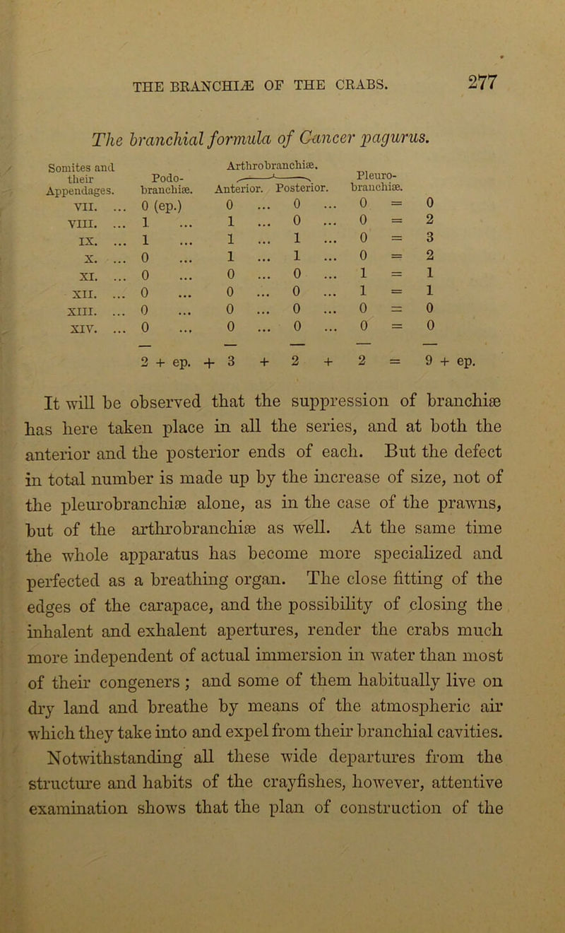 The branchial formula of Cancer imgurus. Somites and their Appendases. Podo- branchise. Arthrobranchiae. • y- N Anterior. Posterior. Pleuro- branchiae. VII. ... 0 (ep.) 0 ... 0 ... 0 = 0 VIII. ... 1 1 ... 0 ... 0 = 2 IX. ... 1 1 ... 1 ... 0 = 3 X. ... 0 1 ... 1 ... 0 = 2 XI. ... 0 0 ... 0 ... 1 = 1 XII. ... 0 0 ... 0 ... 1 = 1 XIII. ... 0 0 ... 0 ... 0 0 XIV. ... 0 0 ... 0 ... 0 = 0 2 + ep. + 3 + 2 + 2 — 9 It will be observed that the suppression of branchiae has here taken place in all the series, and at both the anterior and the posterior ends of each. But the defect in total number is made up by the increase of size, not of the pleurohranchiEB alone, as in the case of the prawns, but of the arthrobranchise as well. At the same time the whole apparatus has become more specialized and perfected as a breathing organ. The close fittiug of the edges of the carapace, and the possibihty of closing the inhalent and exhalent apertures, render the crabs much more independent of actual immersion in water than most of their congeners ; and some of them habitually live on dry land and breathe by means of the atmospheric air which they take into and expel from their branchial cavities. Notwithstanding all these wide departures from the structure and habits of the crayfishes, however, attentive exammation shows that the plan of construction of the