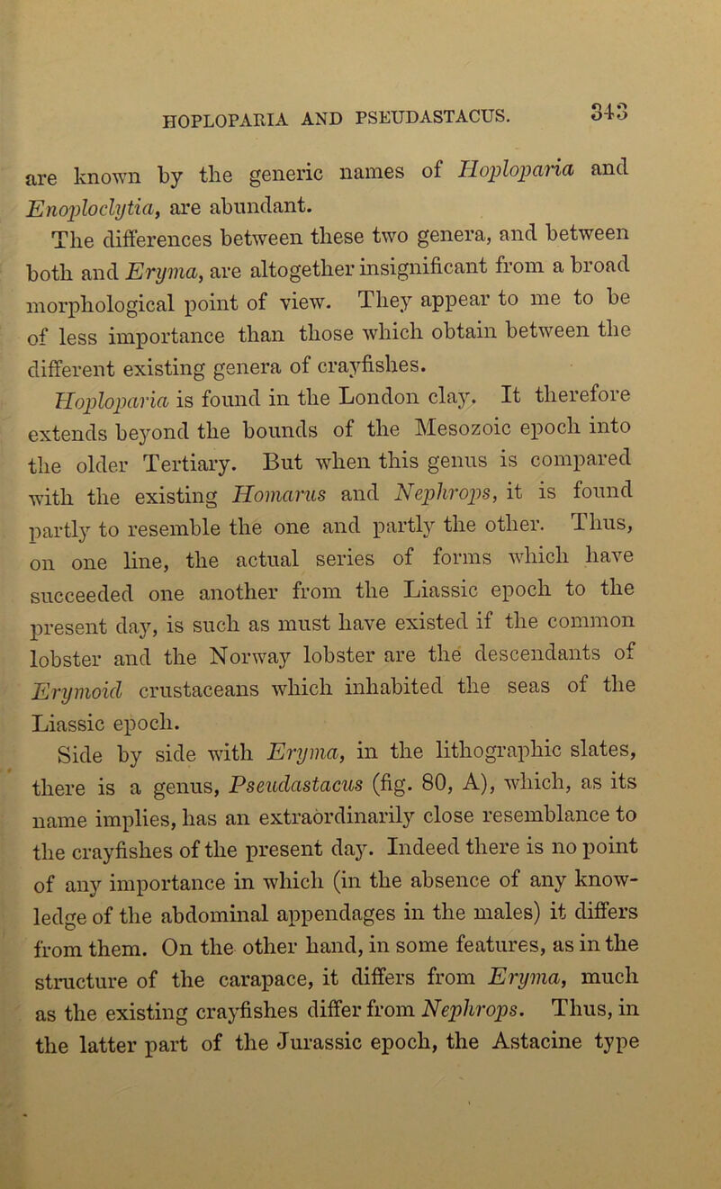 HOPLOPARIA AND PSEUDASTACUS. are known by the generic names of Hoplopana and Enoploclytia, are abundant. The differences between these two genera, and between both and Eryma, are altogether insignificant from a broad morphological point of view. They appear to me to be of less importance than those which obtain between the different existing genera of crayfishes. Hoploparia is found in the London clay. It therefore extends be}mnd the bounds of the Mesozoic epoch into the older Tertiary. But when this genus is compared with the existing Homarus and Neplirops, it is found partty to resemble the one and partly the other. 'Ihus, on one line, the actual series of forms which have succeeded one another from the Liassic epoch to the present day, is such as must have existed if the common lobster and the Norway lobster are the descendants of Enjmoicl crustaceans which inhabited the seas of the Liassic epoch. Side by side with Eryma, in the lithographic slates, there is a genus, Psendastacus (fig. 80, A), which, as its name implies, has an extraordinarily close resemblance to the crayfishes of the present day. Indeed there is no point of any importance in which (in the absence of any know- ledge of the abdommal appendages in the males) it differs from them. On the other hand, in some features, as in the structure of the carapace, it differs from Eryma, much as the existing crayfishes differ from Neplirops, Thus, in the latter part of the Jurassic epoch, the Astacine type