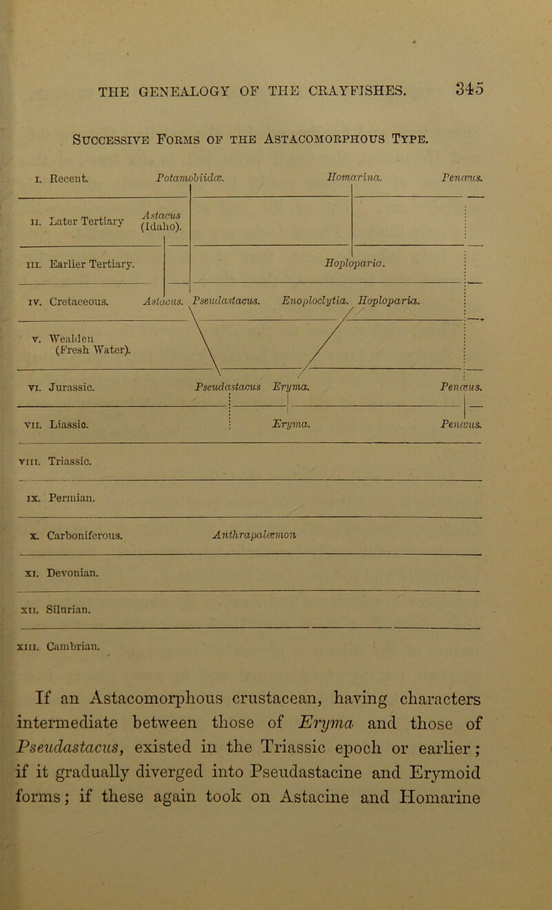 THE GENEAXOGY OF THE CEAYFISHES. S45 Successive Fobms of the Astacomokphous Type. I. Recent Potamobiidcc. Ilomarina. Penmis. VIII. Triassic. IX. Permian. X. Carboniferous. Antlirapalcemon XI. Devonian. XII. Silurian. XIII. Cambrian. ' If an Astacomorplious crustacean, having characters intermediate between those of Eryma and those of Pseudastacus, existed in the Triassic epoch or earlier; if it gradually diverged into Pseudastacine and Erymoid forms; if these again took on Astacine and Homarine