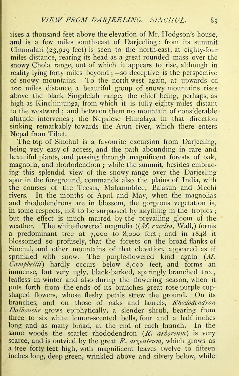 view from Darjeeling, sinchul. §5 rises a thousand feet above the elevation of Mr. Hodgson’s house, and is a few miles south-east of Darjeeling : from its summit Chumulari (23,929 feet) is seen to the north-east, at eighty-four miles distance, rearing its head as a great rounded mass over the snowy Chola range, out of which it appears to rise, although in reality lying forty miles beyond ;—so deceptive is the perspective of snowy mountains. To the north-west again, at upwards of 100 miles distance, a beautiful group of snowy mountains rises above the black Singalelah range, the chief being, perhaps, as high as Kinchinjunga, from which it is fully eighty miles distant to the westward ; and between them no mountain of considerable altitude intervenes; the Nepalese Himalaya in that direction sinking remarkably towards the Arun river, which there enters Nepal from Tibet. The top of Sinchul is a favourite excursion from Darjeeling, being very easy of access, and the path abounding in rare and beautiful plants, and passing through magnificent forests of oak, magnolia, and rhododendron; while the summit, besides embrac- ing this splendid view of the snowy range over the Darjeeling spur in the foreground, commands also the plains of India, with the courses of the Teesta, Mahanuddee, Balasun and Mechi rivers. In the months of April and May, when the magnolias and rhododendrons are in blossom, the gorgeous vegetation is, in some respects, not to be surpassed by anything in the tropics ; but the effect is much marred by the prevailing gloom of the weather. The white-flowered magnolia ((M. excelsa, Wall,) forms a predominant tree at 7,000 to 8,000 feet; and in 1848 it blossomed so profusely, that the forests on the broad flanks of Sinchul, and other mountains of that elevation, appeared as if sprinkled with snow. The purple-flowered kind again (M. Campbellii) hardly occurs below 8,000 feet, and forms an immense, but very ugly, black-barked, sparingly branched tree, leafless in winter and also during the flowering season, when it puts forth from the ends of its branches great rose-purple cup- shaped flowers, whose fleshy petals strew the ground. On its branches, and on those of oaks and laurels, Rhododendron Dalhousice grows epiphytically, a slender shrub, bearing from three to six white lemon-scented bells, four and a half inches long and as many broad, at the end of each branch. In the same woods the scarlet rhododendron (R. arboreum) is very scarce, and is outvied by the great R. argenteum, which grows as a tree forty feet high, with magnificent leaves twelve to fifteen inches long, deep green, wrinkled above and silvery below, while