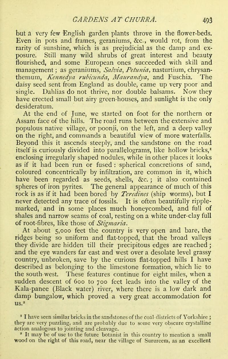 but a Very few English garden plants throve in the flower-beds. Even in pots and frames, geraniums, &c., would rot, from the rarity of sunshine, which is as prejudicial as the damp and ex- posure. Still many wild shrubs of great interest and beauty flourished, and some European ones succeeded with skill and management; as geraniums, Salvia, Petunia, nasturtium, chrysan- themum, Kennedya rubicunda, Maurandya, and Fuschia. The daisy seed sent from England as double, came up very poor and single. Dahlias do not thrive, nor double balsams. Now they have erected small but airy green-houses, and sunlight is the only desideratum. At the end of June, we started on foot for the northern or Assam face of the hills. The road runs between the extensive and populous native village, or poonji, on the left, and a deep valley on the right, and commands a beautiful view of more waterfalls. Beyond this it ascends steeply, and the sandstone on the road itself is curiously divided into parallelograms, like hollow bricks,1 enclosing irregularly shaped nodules, while in other places it looks as if it had been run or fused : spherical concretions of sand, coloured concentrically by infiltration, are common in it, which have been regarded as seeds, shells, &c.; it also contained spheres of iron pyrites. The general appearance of much of this rock is as if it had been bored by Teredines (ship worms), but I never detected any trace of fossils. It is often beautifully ripple- marked, and in some places much honeycombed, and full of shales and narrow seams of coal, resting on a white under-clay full of root-fibres, like those of Stigmaria. At about 5,000 feet the country is very open and bare, the ridges being so uniform and flat-topped, that the broad valleys they divide are hidden till their precipitous edges are reached; and the eye wanders far east and west over a desolate level grassy country, unbroken, save by the curious flat-topped hills I have described as belonging to the limestone formation, which lie to the south-west. These features continue for eight miles, when a sudden descent of 600 to 700 feet leads into the valley of the Kala-panee (Black water) river, where there is a low dark and damp bungalow, which proved a very great accommodation for us.2 1 I have seen similar bricks in the sandstones of the coal -districts of Yorkshire ; they are very puzzling, and are probably due to some very obscure crystalline action analogous to jointing and cleavage. 2 It may be of use to the future botanist in this country to mention a small wood on the right of this road, near the village of Surureem, as an excellent