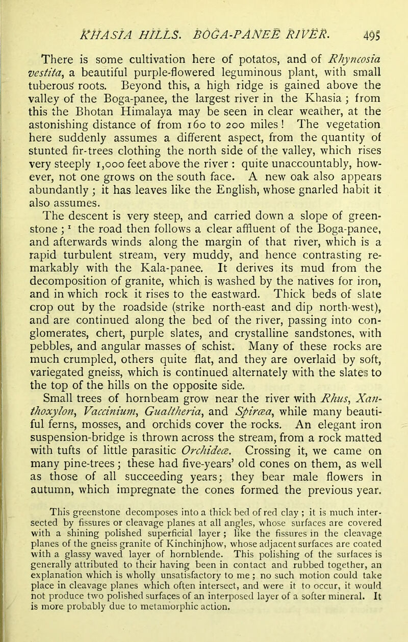 There is some cultivation here of potatos, and of Rhyncosia vestita, a beautiful purple-flowered leguminous plant, with small tuberous roots. Beyond this, a high ridge is gained above the valley of the Boga-panee, the largest river in the Khasia ; from this the Bhotan Himalaya may be seen in clear weather, at the astonishing distance of from 160 to 200 miles! The vegetation here suddenly assumes a different aspect, from the quantity of stunted fir-trees clothing the north side of the valley, which rises very steeply 1,000 feet above the river : quite unaccountably, how- ever, not one grows on the south face. A new oak also appears abundantly; it has leaves like the English, whose gnarled habit it also assumes. The descent is very steep, and carried down a slope of green- stone ;1 the road then follows a clear affluent of the Boga-panee, and afterwards winds along the margin of that river, which is a rapid turbulent stream, very muddy, and hence contrasting re- markably with the Kala-panee. It derives its mud from the decomposition of granite, which is washed by the natives for iron, and in which rock it rises to the eastward. Thick beds of slate crop out by the roadside (strike north-east and dip north-west), and are continued along the bed of the river, passing into con- glomerates, chert, purple slates, and crystalline sandstones, with pebbles, and angular masses of schist. Many of these rocks are much crumpled, others quite flat, and they are overlaid by soft, variegated gneiss, which is continued alternately with the slates to the top of the hills on the opposite side. Small trees of hornbeam grow near the river with Rhus, Xan- thoxylon, Vaccinium, Gualtheria, and Spircsa, while many beauti- ful ferns, mosses, and orchids cover the rocks. An elegant iron suspension-bridge is thrown across the stream, from a rock matted with tufts of little parasitic Orchidecz. Crossing it, we came on many pine-trees; these had five-years’ old cones on them, as well as those of all succeeding years; they bear male flowers in autumn, which impregnate the cones formed the previous year. This greenstone decomposes into a thick bed of red clay ; it is much inter- sected by fissures or cleavage planes at all angles, whose surfaces are covered with a shining polished superficial layer ; like the fissures in the cleavage planes of the gneiss granite of Kinchinjhow, whose adjacent surfaces are coated with a glassy waved layer of hornblende. This polishing of the surfaces is generally attributed to their having been in contact and rubbed together, an explanation which is wholly unsatisfactory to me ; no such motion could take place in cleavage planes which often intersect, and were it to occur, it would not produce two polished surfaces of an interposed layer of a softer mineral. It is more probably due to metamorphic action.