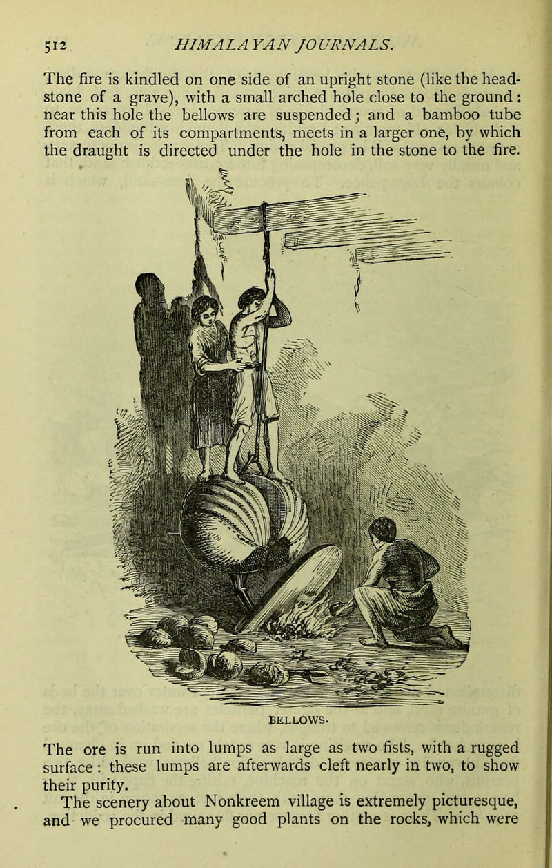 The fire is kindled on one side of an upright stone (like the head- stone of a grave), with a small arched hole close to the ground: near this hole the bellows are suspended; and a bamboo tube from each of its compartments, meets in a larger one, by which the draught is directed under the hole in the stone to the fire. The ore is run into lumps as large as two fists, with a rugged surface: these lumps are afterwards cleft nearly in two, to show their purity. The scenery about Nonkreem village is extremely picturesque, and we procured many good plants on the rocks, which were