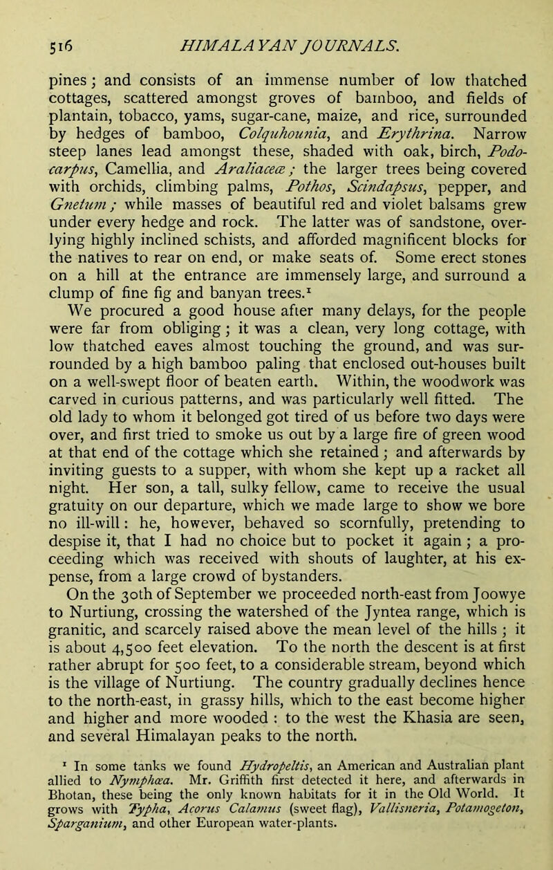 pines; and consists of an immense number of low thatched cottages, scattered amongst groves of bamboo, and fields of plantain, tobacco, yams, sugar-cane, maize, and rice, surrounded by hedges of bamboo, Colquhounia, and Erythrina. Narrow steep lanes lead amongst these, shaded with oak, birch, Podo- carpus, Camellia, and Araliacece; the larger trees being covered with orchids, climbing palms, Pothos, Scindapsus, pepper, and Gnetum ; while masses of beautiful red and violet balsams grew under every hedge and rock. The latter was of sandstone, over- lying highly inclined schists, and afforded magnificent blocks for the natives to rear on end, or make seats of. Some erect stones on a hill at the entrance are immensely large, and surround a clump of fine fig and banyan trees.1 We procured a good house after many delays, for the people were far from obliging; it was a clean, very long cottage, with low thatched eaves almost touching the ground, and was sur- rounded by a high bamboo paling that enclosed out-houses built on a well-swept floor of beaten earth. Within, the woodwork was carved in curious patterns, and was particularly well fitted. The old lady to whom it belonged got tired of us before two days were over, and first tried to smoke us out by a large fire of green wood at that end of the cottage which she retained ; and afterwards by inviting guests to a supper, with whom she kept up a racket all night. Her son, a tall, sulky fellow, came to receive the usual gratuity on our departure, which we made large to show we bore no ill-will: he, however, behaved so scornfully, pretending to despise it, that I had no choice but to pocket it again ; a pro- ceeding which was received with shouts of laughter, at his ex- pense, from a large crowd of bystanders. On the 30th of September we proceeded north-east from Joowye to Nurtiung, crossing the watershed of the Jyntea range, which is granitic, and scarcely raised above the mean level of the hills ; it is about 4,500 feet elevation. To the north the descent is at first rather abrupt for 500 feet, to a considerable stream, beyond which is the village of Nurtiung. The country gradually declines hence to the north-east, in grassy hills, which to the east become higher and higher and more wooded : to the west the Khasia are seen, and several Himalayan peaks to the north. 1 In some tanks we found Hydropelt is, an American and Australian plant allied to Nymphcea. Mr. Griffith first detected it here, and afterwards in Bhotan, these being the only known habitats for it in the Old World. It grows with Typha, Acorns Calamus (sweet flag), Vallisneria, Potamogeton, Sparganium, and other European water-plants.