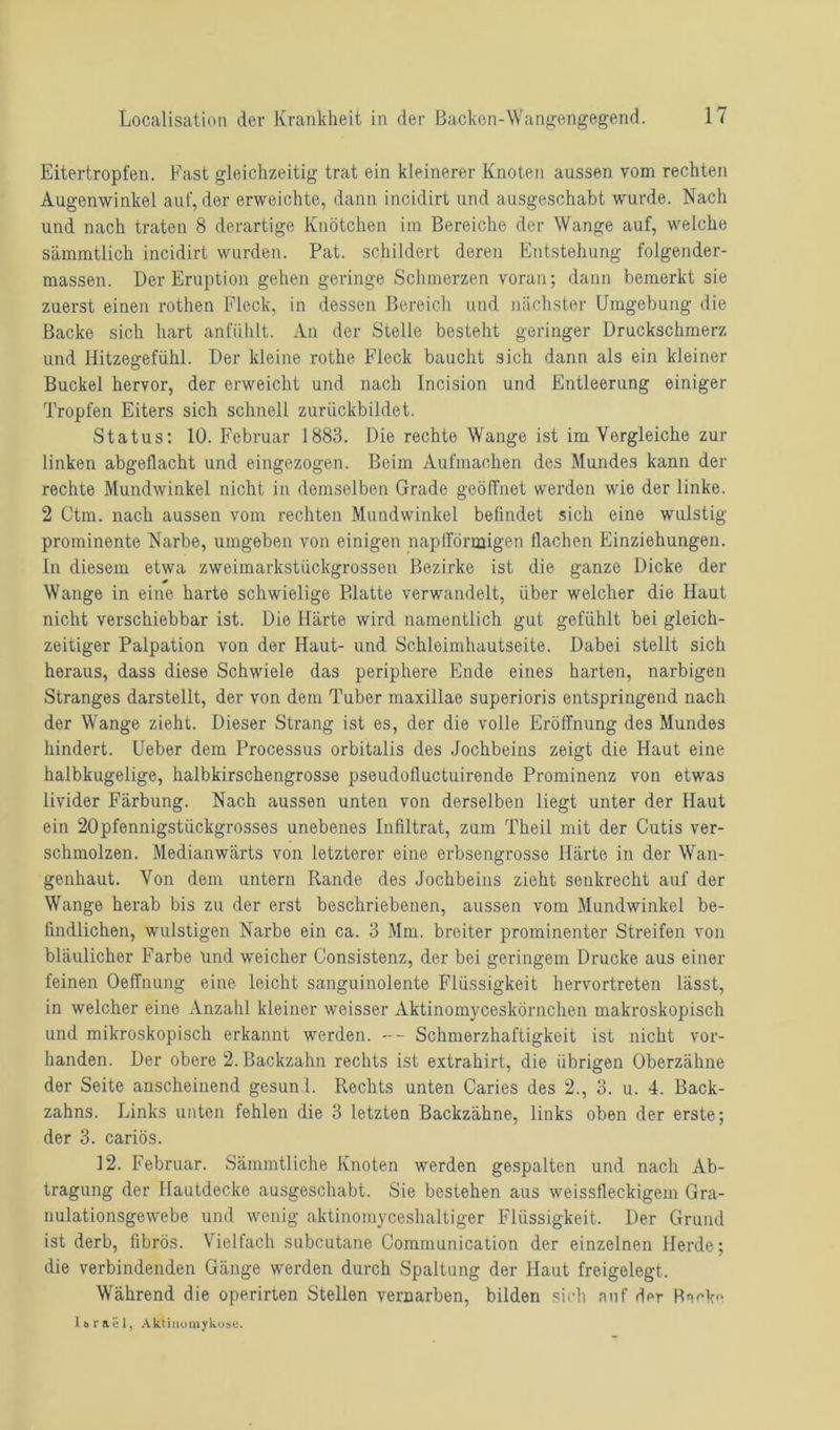 Eitertropfen. Fast gleichzeitig trat ein kleinerer Knoten aussen vom rechten Augenwinkel auf, der erweichte, dann incidirt und ausgeschabt wurde. Nach und nach traten 8 derartige Knötchen im Bereiche der Wange auf, welche sämmtlich incidirt wurden. Pat. schildert deren Entstehung folgender- massen. Der Eruption gehen geringe Schmerzen voran; dann bemerkt sie zuerst einen rothen Fleck, in dessen Bereich und nächster Umgebung die Backe sich hart anfühlt. An der Stelle besteht geringer Druckschmerz und Hitzegefühl. Der kleine rothe Fleck baucht sich dann als ein kleiner Buckel hervor, der erweicht und nach Incision und Entleerung einiger Tropfen Eiters sich schnell zurückbildet. Status: 10. Februar 1883. Die rechte Wange ist im Vergleiche zur linken abgeflacht und eingezogen. Beim Aufmachen des Mundes kann der rechte Mundwinkel nicht in demselben Grade geöffnet werden wie der linke. 2 Ctm. nach aussen vom rechten Mundwinkel befindet sich eine wulstig- prominente Narbe, umgeben von einigen napfförmigen flachen Einziehungen, in diesem etwa zweimarkstückgrossen Bezirke ist die ganze Dicke der Wange in eine harte schwielige Blatte verwandelt, über welcher die Haut nicht verschiebbar ist. Die Härte wird namentlich gut gefühlt bei gleich- zeitiger Palpation von der Haut- und Schleimhautseite. Dabei stellt sich heraus, dass diese Schwiele das periphere Ende eines harten, narbigen Stranges darstellt, der von dem Tuber maxillae superioris entspringend nach der Wange zieht. Dieser Strang ist es, der die volle Eröffnung des Mundes hindert. Ueber dem Processus orbitalis des Jochbeins zeigt die Haut eine halbkugelige, halbkirschengrosse pseudofluctuirende Prominenz von etwas livider Färbung. Nach aussen unten von derselben liegt unter der Haut ein 20pfennigstückgrosses unebenes Infiltrat, zum Theil mit der Cutis ver- schmolzen. Medianwärts von letzterer eine erbsengrosse Härte in der Wan- genhaut. Von dem untern Rande des Jochbeins zieht senkrecht auf der Wange herab bis zu der erst beschriebenen, aussen vom Mundwinkel be- findlichen, wulstigen Narbe ein ca. 3 Mm. breiter prominenter Streifen von bläulicher Farbe und weicher Consistenz, der bei geringem Drucke aus einer feinen Oeffnung eine leicht sanguinolente Flüssigkeit hervortreten lässt, in welcher eine Anzahl kleiner weisser Aktinomyceskörnchen makroskopisch und mikroskopisch erkannt werden. -- Schmerzhaftigkeit ist nicht vor- handen. Der obere 2. Backzahn rechts ist extrahirt, die übrigen Oberzähne der Seite anscheinend gesunl. Rechts unten Caries des 2., 3. u. 4. Back- zahns. Links unten fehlen die 3 letzten Backzähne, links oben der erste; der 3. cariös. 12. Februar. Sämmtliche Knoten werden gespalten und nach Ab- tragung der Hautdecke ausgeschabt. Sie bestehen aus weissfleckigem Gra- nulationsgewebe und wenig aktinomyceshaltiger Flüssigkeit. Der Grund ist derb, fibrös. Vielfach subcutane Communication der einzelnen Herde; die verbindenden Gänge werden durch Spaltung der Haut freigelegt. Während die operirten Stellen vernarben, bilden sich auf der BaHm Ibra 1-1, Aktinomylvose.