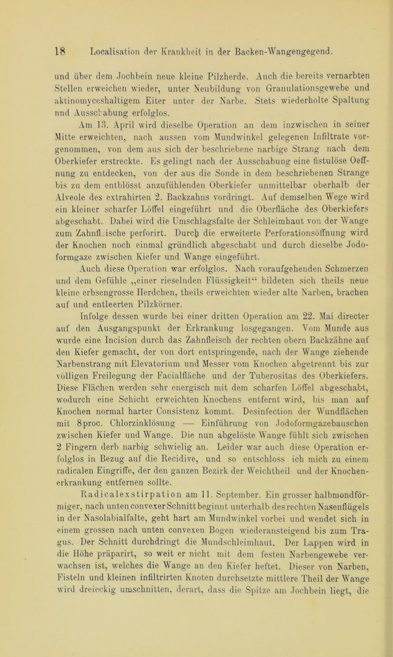 und über dem Jochbein neue kleine Pilzherde. Auch die bereits vernarbten Stellen erweichen wieder, unter Neubildung von Granulationsgewebe und aktinomyceshaltigem Eiter unter der Narbe. Stets wiederholte Spaltung und Ausschabung erfolglos. Am 13. April wird dieselbe Operation an dem inzwischen in seiner Mitte erweichten, nach aussen vom Mundwinkel gelegenen Infiltrate vor- genommen, von dem aus sich der beschriebene narbige Strang nach dem Oberkiefer erstreckte. Es gelingt nach der Ausschabung eine fistulöse Oeff- nung zu entdecken, von der aus die Sonde in dem beschriebenen Strange bis zu dem entblösst anzufühlenden Oberkiefer unmittelbar oberhalb der Alveole des extrahirten 2. Backzahns vordringt. Auf demselben Wege wird ein kleiner scharfer Löffel eingeführt und die Oberfläche des Oberkiefers abgeschabt. Dabei wird die Umschlagsfalte der Schleimhaut von der Wange zum Zahnfleische perforirt. Durcti die erweiterte Perforationsöffnung wird der Knochen noch einmal gründlich abgeschabt und durch dieselbe Jodo- formgaze zwischen Kiefer und Wange eingeführt. Auch diese Operation war erfolglos. Nach voraufgehenden Schmerzen und dem Gefühle „einer rieselnden Flüssigkeit“ bildeten sich theils neue- kleine erbsengrosse Herdchen, theils erweichten wieder alte Narben, brachen auf und entleerten Pilzkörner. Infolge dessen wurde bei einer dritten Operation am 22. Mai directer auf den Ausgangspunkt der Erkrankung losgegangen. Vom Munde aus wurde eine Incision durch das Zahnfleisch der rechten obern Backzähne auf den Kiefer gemacht, der von dort entspringende, nach der Wange ziehende Narbenstrang mit Elevatorium und Messer vom Knochen abgetrennt bis zur völligen Freilegung der Facialfläche und der Tuberositas des Oberkiefers. Diese Flächen werden sehr energisch mit dem scharfen Löffel abgeschabt, wodurch eine Schicht erweichten Knochens entfernt wird, bis man auf Knochen normal harter Consistenz kommt. Desinfection der Wundflächen mit 8proc. Chlorzinklösung — Einführung von Jodoformgazebauschen zwischen Kiefer und Wange. Die nun abgelöste Wange fühlt sich zwischen 2 Fingern derb narbig schwielig an. Leider war auch diese Operation er- folglos in Bezug auf die Recidive, und so entschloss ich mich zu einem radicalen Eingriffe, der den ganzen Bezirk der Weichtheil und der Knochen- erkrankung entfernen sollte. Radicalexstirpation am 11. September. Ein grosser halbmondför- miger, nach unten convexer Schnitt beginnt unterhalb des rechten Nasenflügels in der Nasolabialfalte, geht hart am Mundwinkel vorbei und wendet sich in einem grossen nach unten convexen Bogen wiederansteigend bis zum Tra- gus. Der Schnitt durchdringt die Mundschleimhaut. Der Lappen wird in die Höhe präparirt, so weit er nicht mit dem festen Narbengewebe ver- wachsen ist, welches die Wange an den Kiefer heftet. Dieser von Narben, Fisteln und kleinen infiltrirten Knoten durchsetzte mittlere Theil der Wange wird dreieckig Umschnitten, derart, dass die Spitze am Jochbein liegt, die