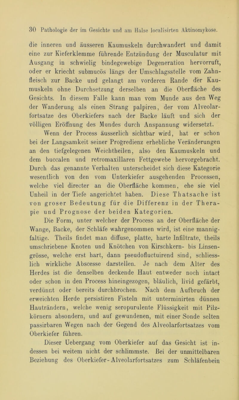 die inneren und äusseren Kaumuskeln durchwandert und damit eine zur Kieferklemme führende Entzündung der Musculatur mit Ausgang in schwielig bindegewebige Degeneration hervorruft, oder er kriecht submucös längs der Umschlagsstelle vom Zahn- fleisch zur Backe und gelangt am vorderen Rande der Kau- muskeln ohne Durchsetzung derselben an die Oberfläche des Gesichts. In diesem Falle kann man vom Munde aus den Weg der Wanderung als einen Strang palpiren, der vom Alveolar- fortsatze des Oberkiefers nach der Backe läuft und sich der völligen Eröffnung des Mundes durch Anspannung widersetzt. Wenn der Process äusserlich sichtbar wird, hat er schon bei der Langsamkeit seiner Progredienz erhebliche Veränderungen an den tiefgelegenen Weichtheilen, also den Kaumuskeln und dem buccalen und retromaxillaren Fettgewebe hervorgebracht. Durch das genannte Verhalten unterscheidet sich diese Kategorie wesentlich von den vom Unterkiefer ausgehenden Processen, welche viel directer an die Oberfläche kommen, ehe sie viel Unheil in der Tiefe angerichtet haben. Diese Thatsache ist von groser Bedeutung für die Differenz in der Thera- pie und Prognose der beiden Kategorien. Die Form, unter welcher der Process an der Oberfläche der Wange, Backe, der Schläfe wahrgenommen wird, ist eine mannig- faltige. Theils findet man diffuse, platte, harte Infiltrate, theils umschriebene Knoten und Knötchen von Kirschkern- bis Linsen- grösse, welche erst hart, dann pseudofluctuirend sind, schliess- lich wirkliche Abscesse darstellen. Je nach dem Alter des Herdes ist die denselben deckende Haut entweder noch intact oder schon in den Process hineingezogen, bläulich, livid gefärbt, verdünnt oder bereits durchbrochen. Nach dem Aufbruch der erweichten Herde persistiren Fisteln mit unterminirten dünnen Hauträndern, welche wenig seropurulente Flüssigkeit mit Pilz- körnern absondern, und auf gewundenen, mit einer Sonde selten passirbaren Wegen nach der Gegend des Alveolarfortsatzes vom Oberkiefer führen. Dieser Uebergang vom Oberkiefer auf das Gesicht ist in- dessen bei weitem nicht der schlimmste. Bei der unmittelbaren Beziehung des Oberkiefer-Alveolarfortsatzes zum Schläfenbein