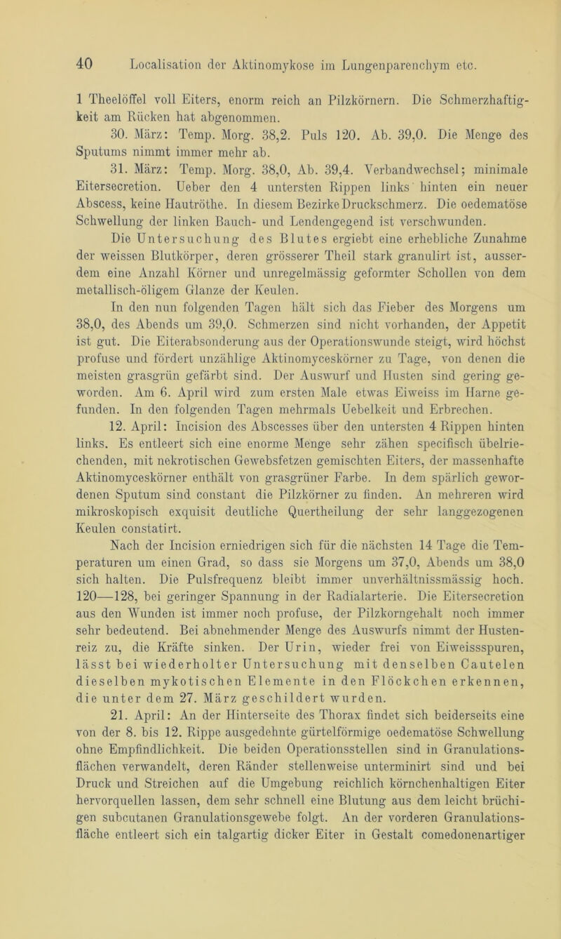 1 Theelöffel voll Eiters, enorm reich an Pilzkörnern. Die Schmerzhaftig- keit am Rücken hat abgenommen. 30. März: Temp. Morg. 38,2. Puls 120. Ab. 39,0. Die Menge des Sputums nimmt immer mehr ab. 31. März: Temp. Morg. 38,0, Ab. 39,4. Verbandwechsel; minimale Eitersecretion. Ueber den 4 untersten Rippen links hinten ein neuer Abscess, keine Hautröthe. In diesem Bezirke Druckschmerz. Die oedematöse Schwellung der linken Bauch- und Lendengegend ist verschwunden. Die Untersuchung des Blutes ergiebt eine erhebliche Zunahme der weissen Blutkörper, deren grösserer Theil stark granulirt ist, ausser- dem eine Anzahl Körner und unregelmässig geformter Schollen von dem metallisch-öligem Glanze der Keulen. In den nun folgenden Tagen hält sich das Fieber des Morgens um 38,0, des Abends um 39,0. Schmerzen sind nicht vorhanden, der Appetit ist gut. Die Eiterabsonderung aus der Operationswunde steigt, wird höchst profuse und fördert unzählige Aktinomyceskörner zu Tage, von denen die meisten grasgrün gefärbt sind. Der Auswurf und Husten sind gering ge- worden. Am 6. April wird zum ersten Male etwas Eiweiss im Harne ge- funden. In den folgenden Tagen mehrmals Uebelkeit und Erbrechen. 12. April: Incision des Abscesses über den untersten 4 Rippen hinten links. Es entleert sich eine enorme Menge sehr zähen specifisch übelrie- chenden, mit nekrotischen Gewebsfetzen gemischten Eiters, der massenhafte Aktinomyceskörner enthält von grasgrüner Farbe. In dem spärlich gewor- denen Sputum sind constant die Pilzkörner zu finden. An mehreren wird mikroskopisch exquisit deutliche Quertheilung der sehr langgezogenen Keulen constatirt. Nach der Incision erniedrigen sich für die nächsten 14 Tage die Tem- peraturen um einen Grad, so dass sie Morgens um 37,0, Abends um 38,0 sich halten. Die Pulsfrequenz bleibt immer unverhältnissmässig hoch. 120—128, bei geringer Spannung in der Radialarterie. Die Eitersecretion aus den Wunden ist immer noch profuse, der Pilzkorngehalt noch immer sehr bedeutend. Bei abnehmender Menge des Auswurfs nimmt der Husten- reiz zu, die Kräfte sinken. Der Urin, wieder frei von Eiweissspuren, lässt bei wiederholter Untersuchung mit denselben Cautelen dieselben mykotischen Elemente in den Flöckchen erkennen, die unter dem 27. März geschildert wurden. 21. April: An der Hinterseite des Thorax findet sich beiderseits eine von der 8. bis 12. Rippe ausgedehnte gürtelförmige oedematöse Schwellung ohne Empfindlichkeit. Die beiden Operationsstellen sind in Granulations- flächen verwandelt, deren Ränder stellenweise unterminirt sind und bei Druck und Streichen auf die Umgebung reichlich körnchenhaltigen Eiter hervorquellen lassen, dem sehr schnell eine Blutung aus dem leicht brüchi- gen subcutanen Granulationsgewebe folgt. An der vorderen Granulations- fläche entleert sich ein talgartig dicker Eiter in Gestalt comedonenartiger