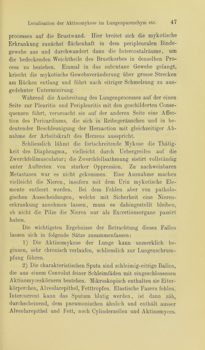 processes auf die Brustwand. Hier breitet sich die mykotische Erkrankung zunächst flächenhaft in dem peripleuralen Binde- gewebe aus und durchwandert dann die Intercostalräume, um die bedeckenden Weichtheile des Brustkorbes in denselben Pro- cess zu beziehen. Einmal in das subcutane Gewebe gelangt, kriecht die mykotische Gewebsveränderung über grosse Strecken am Rücken entlang und führt nach eitriger Schmelzung zu aus- gedehnter Unterminirung. Während die Ausbreitung des Lungenprocesses auf der einen Seite zur Pleuritis und Peripleuritis mit den geschilderten Conse- quenzen führt, verursacht sie auf der anderen Seite eine Affec- tion des Pericardiums, die sich in Reibegeräuschen und in be- deutender Beschleunigung der Herzaction mit gleichzeitiger Ab- nahme der Arbeitskraft des Herzens ausspricht. Schliesslich lähmt die fortschreitende Mykose die Thätig- keit des Diaphragma, vielleicht durch Uebergreifen auf die Zwerchfellmusculatur; die Zwerchfellsathmung sistirt vollständig unter Auftreten von starker Oppression. Zu nachweisbaren Metastasen war es nicht gekommen. Eine Ausnahme machen vielleicht die Nieren, insofern mit dem Urin mykotische Ele- mente entleert werden. Bei dem Fehlen aber von patholo- gischen Ausscheidungen, welche mit Sicherheit eine Nieren- erkrankung annehmen lassen, muss es dahingestellt bleiben, ob nicht die Pilze die Nieren nur als Excretionsorgane passirt haben. Die wichtigsten Ergebnisse der Betrachtung dieses Falles lassen sich in folgende Sätze zusammenfassen: 1) Die Aktinomykose der Lunge kann unmerklich be- ginnen, sehr chronisch verlaufen, schliesslich zur Lungenschrum- pfung führen. 2) Die charakteristischen Sputa sind schleimig-eitrige Ballen, die aus einem Convolut feiner Schleimfäden mit eingeschlossenen Aktinomyceskörnern bestehen. Mikroskopisch enthalten sie Eiter- körperchen, Alveolarepithel, Fetttropfen. Elastische Fasern fehlen. Intercurrent kann das Sputum blutig werden, ist dann zäh, durchscheinend, dem pneumonischen ähnlich und enthält ausser Alveolarepithel und Fett, noch Cylinderzellen und Aktinomyces.