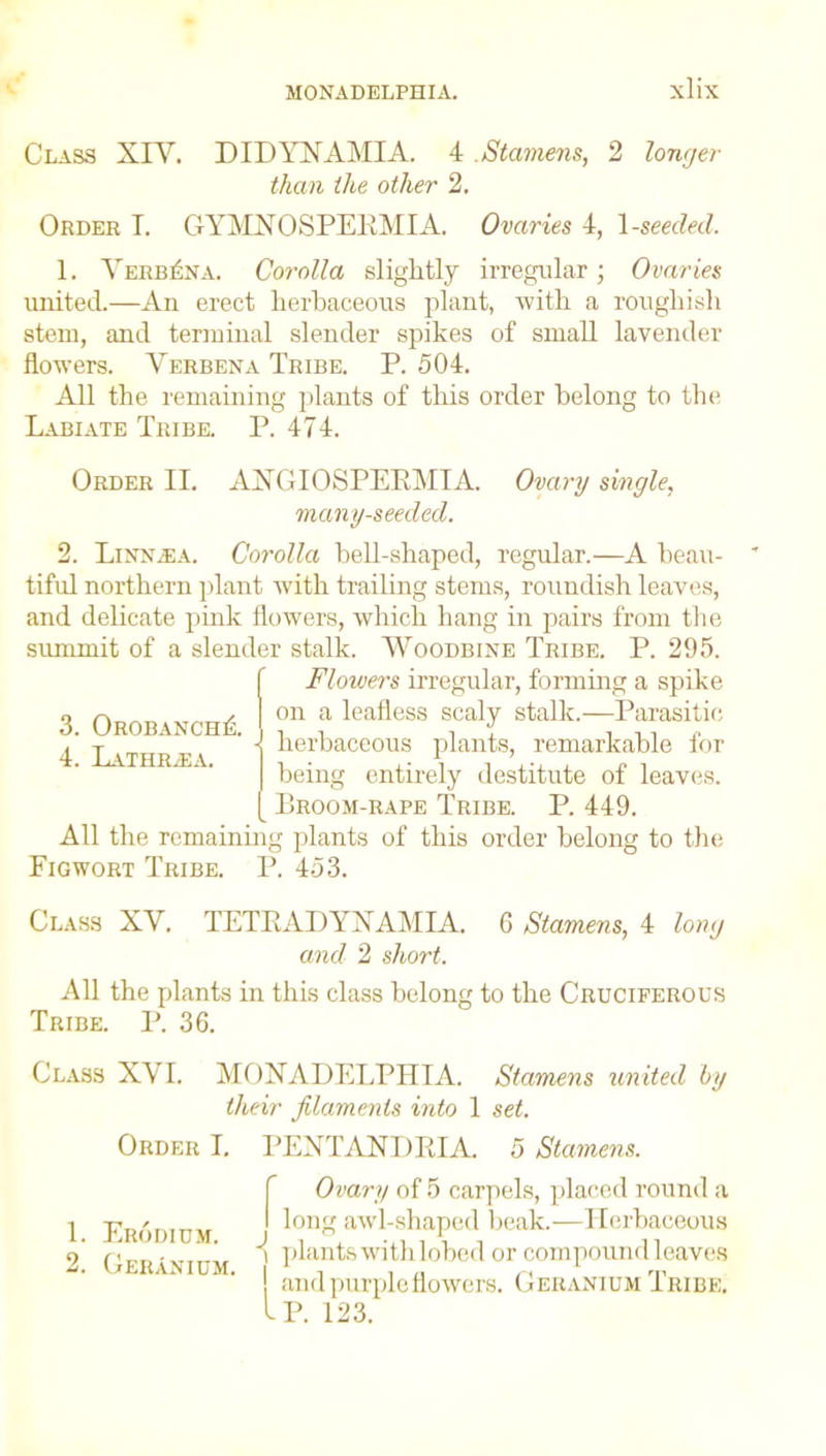 Class XIV. DIDYHAMIA. 4 Stamens, 2 longer than the other 2, Order I. G YMN 0 S PEKMI A. Ovaries 4, 1 -seeded. 1. Verbena. Corolla slightly irregular; Ovaries united.—An erect herbaceous plant, with a rougliish stem, and terminal slender spikes of small lavender flowers. Verbena Tribe. P. 504. All the remaining plants of this order belong to the Labiate Tribe. P. 474. Order II. AXGIOSPERMIA. Ovary single, many-seeded. 2. Linn.ea. Corolla hell-shaped, regular.—A beau- tiful northern plant with trailing stems, roundish leaves, and delicate pink flowers, which hang in pairs from the summit of a slender stalk. Woodbine Tribe. P. 295. Flowers irregular, forming a spike on a leafless scaly stalk.—Parasitic herbaceous plants, remarkable for being entirely destitute of leaves. IIroom-rape Tribe. P. 449. plants of this order belong to the 3. 4. OrobanchA Lathr.-ea. All the remainim Figwort Tribe. P. 453. Class XV. TETRADYXAMIA. 6 Stamens, 4 long and 2 short. All the plants in this class belong to the Cruciferous Tribe. P. 36. Class XVI. MOXADELPHIA. Stamens united by tlieir filaments into 1 set. Order I. PENTAN1 )R1 A. 5 Stamens. 1. Erodium. 2. Geranium. f Ovary of 5 carpels, placed round a I long awl-shaped beak.—Herbaceous i plants with lobed or compound leaves j and purple flowers. Geranium Tribe. IP. 123.