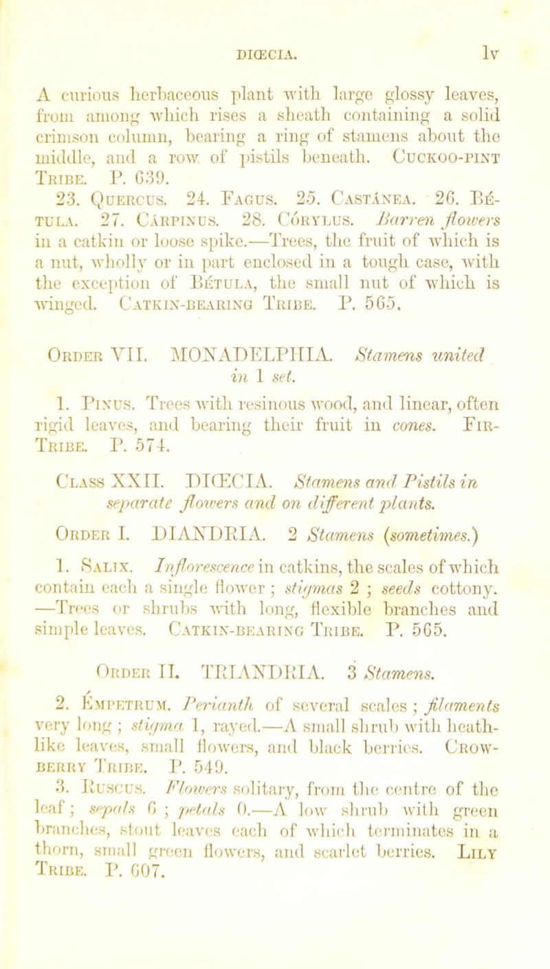 A curious herbaceous plant with large glossy leaves, from among which rises a sheath containing a solid crimson column, bearing a ring of stamens about the middle, and a row of pistils beneath. Cuckoo-pint Tribe. P. G39. 23. Quercus. 24. Fagus. 25. Castanea. 26. Be- tula. 27. Carpinus. 28. Corylus. Barren flowers in a catkin or loose spike.—Trees, the fruit of which is a nut, wholly or in part enclosed in a tough case, with the exception of Betula, the small nut of which is winged. Catkin-bearing Tribe. P. 565, Order VII. MONADELPHIA. Stamens united in 1 set. 1. Pinus. Trees with resinous wood, and linear, often rigid leaves, and bearing their fruit in cones. Fir- Tribe P. 574. Class XXII. DICECIA. Stamens and Pistils in separate flowers and on different plants. Order I. DIAXDBIA. 2 Stamens (sometimes.) 1. Salix. Inflorescence in catkins, the scales of which contain each a single flower ; stigmas 2 ; seeds cottony. —Trees or shrubs with long, flexible branches and simple leaves. Catkin-bearing Tribe. P. 565. Order IL TRIANDBIA. 3 Stamens. / 2. Empetrum. Perianth of several scales; filaments very long ; stigma 1, rayed.—A small shrub with heatli- like leaves, small flowers, and black berries. Crow- berry Tribe. P. 549. 3. Buscus. Flowers solitary, from the centre of the leaf; sepals 6 ; petals 0.—A low shrub with green branches, stout leaves each of which terminates in a thorn, small green flowers, and scarlet berries. Lily Tribe. P. 607.