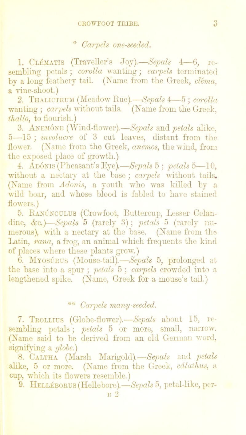* Carpels one-seeded. 1. Clematis (Traveller’s Joy).—Sepals 4—6, re- sembling petals; corolla wanting; carpels terminated by a long feathery tail. (Name from the Greek, clema, a vine-shoot.) 2. Thalictrtjm (Meadow Eue).—Sepals 4—5 ; corolla wanting ; carpels without tails. (Name from the Greek, thallo, to flourish.) 3. Anemone (Wind-flower).—Sepals and petals alike. 5—15 ; involucre of 3 cut leaves, distant from the flower. (N ame from the Greek, anemos, the wind, from the exposed place of growth.) 4. Adonis (Pheasant’s Eye).—Sepals 5 ; petals 5—10, without a nectary at the base; carpels without tails. (Name from Adonis, a youth who was killed by a wild boar, and whose blood is fabled to have stained flowers.) 5. Ranunculus (Crowfoot, Buttercup, Lesser Celan- dine, &c.)—Sepals 5 (rarely 3); petals 5 (rarely nu- merous), with a nectary at the base. (Name from the Latin, rana, a frog, an annual which frequents the kind of places where these plants grow.) 6. Myoserus (Mouse-tail).—Sepals 5, prolonged at the base into a spur ; petals 5 ; carpels crowded into a lengthened spike. (Name, Greek for a mouse’s tail.) ** Carpels many seeded. 7. Trollies (Globe-flower).—Sepals about 15, re- sembling petals; petcds 5 or more, small, narrow. (Name said to be derived from an old German word, signifying a globe.) 8. Caltha (Marsh Marigold).—Sepals and petals alike, 5 or more. (Name from the Greek, cdlaihus, a cup, which its flowers resemble.) 9. Hell£bores (Hellebore).—Sepals 5, petal-like, pc r- b 2