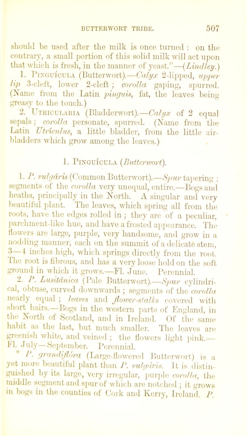 should be used after the milk is once turned : on the contrary, a small portion of this solid milk will act upon that which is fresh, in the manner of yeast.”—(Lindley.) 1. Pixguicula (Butterwort).—Calyx 2-lipped, upper lip 3-cleft, lower 2-cleft; corolla gaping, spurred. (Name from the Latin pinguis, fat, the leaves being greasy to the touch.) 2. Utricularia (Bladderwort).—Calyx of 2 equal sepals; corolla personate, spurred. (Name from the Latin Utricular, a little bladder, from the little air- bladders which grow among the leaves.) 1. Pinguicula (Butterwort). 1. P. vulgdris (Common Butterwort).—Spur tapering ; segments of the corolla very unequal, entire.—Bogs and heaths, principally in the North. A singular and very beautiful plant. The leaves, which spring all from the roots, have the edges rolled in ; they are of a peculiar, parchment-like hue, and have a frosted appearance. The flowers are large, purple, very handsome, and grow hi a nodding manner, each on the summit of a delicate stem, 3—1 niches high, which springs directly from the root. The root is fibrous, and has a very loose hold on the soft ground in which it grows.—FI. June. Perennial. -■ P• Lusitdnica (Pale Butterwort).—Spur cylindri- cal, obtuse, curved downwards ; segments of the corolla nearly equal ; leaves and Jlower-stalks covered with short hairs.—Bogs in the western parts of England, in the North of Scotland, and in Ireland. Of the same habit as the last, but much smaller. The leaves are greenish white, and veined ; the flowers light pink.— FI. July—September. Perennial. P. grand ghWa (Large-flowered Butterwort) is a yet more beautiful plant than P. vulgdris. It is distin- guished by its large, very irregular, purple corolla, the middle segment and spur of which are notched ; it grows in bogs in the counties of Cork and Kerry, Ireland. P.