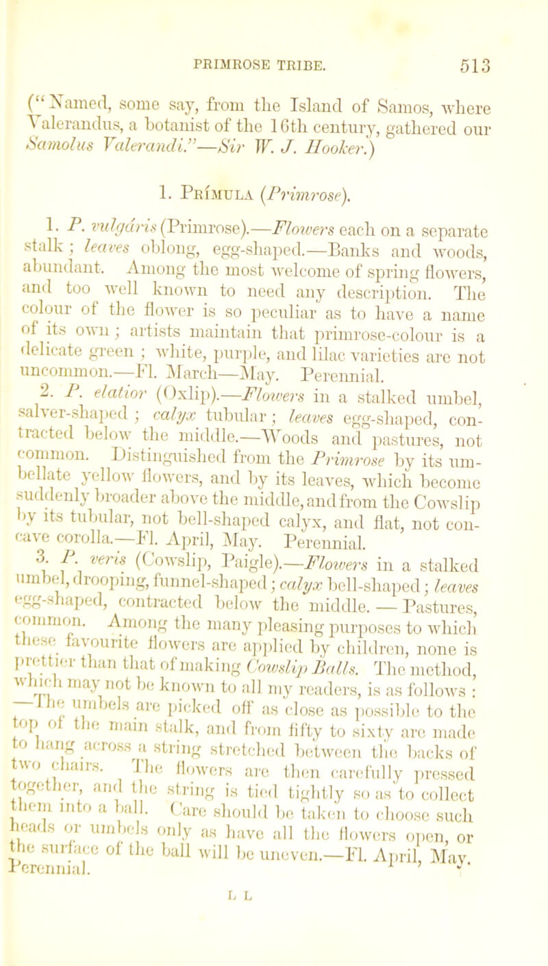 (“Named, some say, from the Island of Samos, where ^ alerandus, a botanist of the 16th century, gathered our Samolus Yultrandi.”-—Sir IF. J. Hooker.) 1. Primula (Primrose). 1. P. vulgaris (Primrose).—Flowers each on a separate stalk ; leaves oblong, egg-shaped.—Banks and woods, abundant. Among the most welcome of spring flowers, and too well known to need any description. The colour of the flower is so peculiar as to have a name of its own; artists maintain that primrose-colour is a delicate green ; white, purple, and lilac varieties are not uncommon.—FI. March—May. Perennial. 2. P. elatior (Oxlip).—Flowers in a stalked umbel, sah er-shaped ; calyx tubular \ leaves egg-sliaped, con- ti acted below the middle.—Woods and pastures, not common. Distinguished from the Primrose by its um- bellate yellow flowers, and by its leaves, which become suddenly broader above the middle, and from the Cowslip '} its tubular, not bell-shaped calyx, and flat, not con- cave corolla.—FI. April, May. Perennial. 3. /. vens (Cowslip, Paigle).—Flowers in a stalked umbel, drooping, funnel-shaped; calyx bell-shaped; leaves egg-shaped, contracted below the middle. — Pastures, common. .Among the many pleasing purposes to which h sc ac ourite flowers are applied by children, none is prettier than that of making Cowslip Palls. The method, winch may not be known to all my readers, is as follows : ie umbels are picked off as close as possible to the top ot the main stalk, and from fifty to sixty are made to hang across a string stretched between the backs of two chairs. The flowers are then carefully pressed together, and the string is tied tightly soas'to collect them into a ball. Care should be taken to choose such heads or umbels only as have all the flowers open, or ie surface of the ball will be uneven.—FI. April, May Perennial. 1 ’