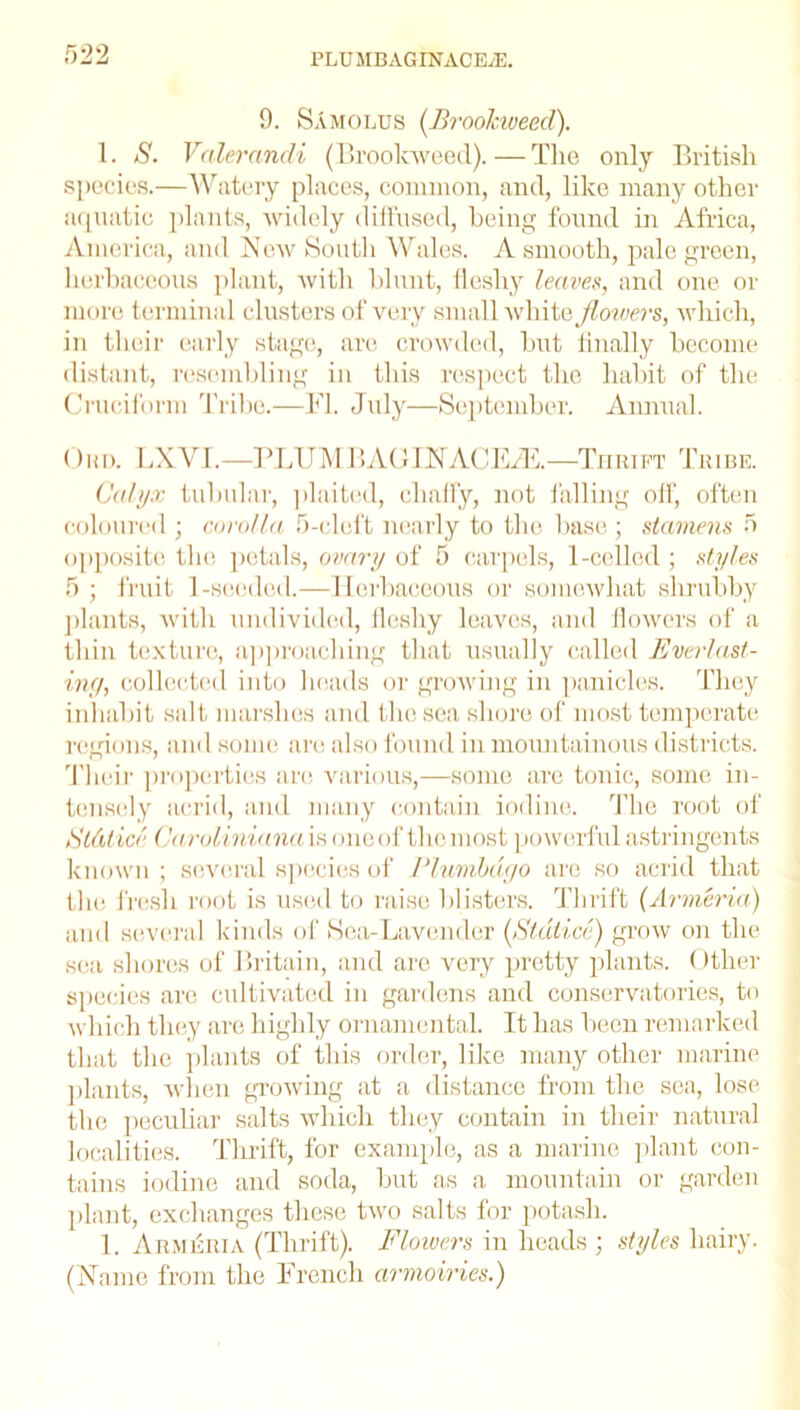 9. SAmolus (Broolciveed). 1. S. Valerandi (Brook-weed).—The only British species.—Watery places, common, and, like many other aquatic plants, widely diffused, being found in Africa, America, and New South Wales. A smooth, pale green, herbaceous plant, with blunt, fleshy leaves, and one or more terminal clusters of very small white flowers, which, in their early stage, are crowded, but finally become distant, resembling in this respect the habit of the Cruciform Tribe.—FI. July—September. Annual. Cun. LXVI.—PLUMBAGINAGE/E.—Thrift Tribe. Calyx tubular, plaited, chaffy, not falling off', often coloured ; corolla 5-cleft nearly to the base ; stamens 5 opposite the petals, ovary of 5 carpels, 1-celled; styles 5; fruit 1-seeded.—Herbaceous or somewhat shrubby plants, with undivided, fleshy leaves, and flowers of a thin texture, approaching that usually called Everlast- ing, collected into heads or growing in panicles. They inhabit salt marshes and the sea shore of most temperate regions, and some are also found in mountainous districts. Their properties arc various,—some are tonic, some in- tensely acrid, and many contain iodine. The root of Stdtice Caroliniana is oneof the most powerful astringents known ; several species of Plumbago are so acrid that the fresh root is used to raise blisters. Thrift (Armenia) and several kinds of Sea-Lavender (Stdticc) grow on the sea shores of Britain, and are very pretty plants. Other species are cultivated in gardens and conservatories, to which they are highly ornamental. It has been remarked that the plants of this order, like many other marine plants, when growing at a distance from the sea, lose the peculiar salts which they contain in their natural localities. Thrift, for example, as a marine plant con- tains iodine and soda, but as a mountain or garden plant, exchanges these two salts for potash. 1. Armeria (Thrift). Flowers in heads ; styles hairy. (Name from the French armoiries.)