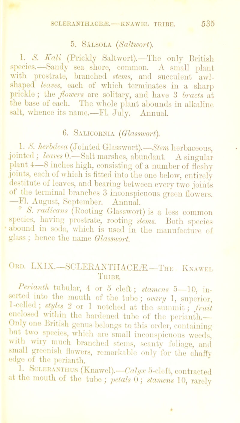 5. Salsola [Saltwort). 1. *S'. Kali (Prickly Saltwort).—The only British species.—Sandy sea shore, common. A small plant with prostrate, branched stems, and succulent awl- shaped leaves, each of which terminates in a sharp prickle; the flowers are solitary, and have 3 bracts at the base of each. The whole plant abounds in alkaline salt, whence its name.—FI. July. Annual. G. Salicornia (Glassivort). 1. A herbacea (Jointed Glasswort).—Stem herbaceous, jointed ; leaves 0.—Salt marshes, abundant. A singular plant 1—8 inches high, consisting of a number of fleshy joints, each of which is fitted into the one below, entirely destitute of leaves, and bearing between every two joints ol the terminal branches 3 inconspicuous green flowers. —FI. August, September. Annual. *S. radicans (Hooting Glasswort) is a less common species, having prostrate, rooting stems. Both species abound in soda, which is used in the manufacture of glass ; hence the name Glasswort. Orb. LXIX.—SCLEBAXTHACE/E.—The Kkawel Tribe. I erianth tubular, 4 or 5 cleft; stamens 5—10, in- serted into the mouth of the tube; ovary 1, superior, 1-celled ; styles 2 or 1 notched at the summit; fruit enclosed within the hardened tube of the perianth.— Only one British genus belongs to this order, containing but, two species, which are small inconspicuous weeds, itl1 iry much branched stems, scanty foliage, and small greenish flowers, remarkable only for the chaffy edge of the perianth. 1. Sclerantiius (Knawcl).—Calyx 5-cleft, contracted at the mouth of the tube; petals 0; stamens 10, rarely