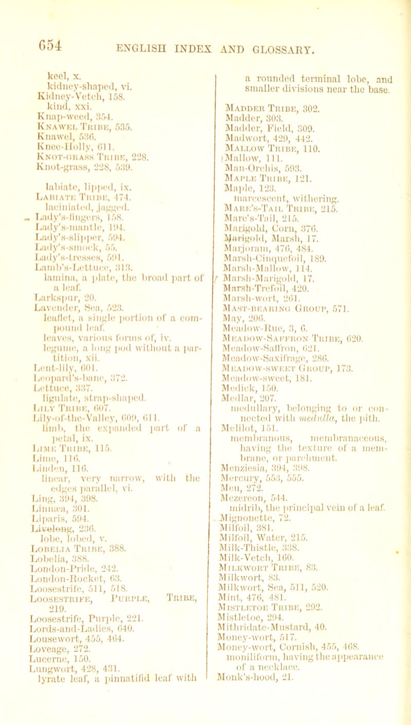 keel, x. kidney-sliapeci, vi. Kidney-Vetch, 15S. kind, xxi. Knap-weed, 864. Knawel Tribe, 535. Knnwel, 536. Knee-Holly, 611. Knot-grass Tribe, 228. Knot-grass, 228, 538. labiate, lipped, ix. Labiate Tribe, -174. Inoiniated, jagged. - Lady’s-llngers, 168. Lody's-mantle, 184. Lady’s-slipper, 584. Lady’s-smock, 55. Lady’s-tresses, 581. Lamb’s-Lottuce, 313. lamina, a plate, the broad part of a leaf. Larkspur, 20. Lavender, Sea, 523. leaflet, a single portion of a com- pound leaf. leaves, various forms of, iv. legume, n long pod without a par- tition, xii. Lent-lily, 601. Leopard’s-bane, 372. Lettuce, 337. ligulute, strap-shaped. Lily Tribe, 607. Lily-of-the-Valley, 008, 611. limb, the expanded part of a petal, ix. Lime Tribe, 115. Lime, 116. Linden, 116. linear, very narrow, with the edges parallel, vi. Ling, 384, 398. Linnien, 801. Liparis, 504. Livelong, 230. lobe, lobed, v. Lobelia Tribe, 388. Lobelia, 388. London-Pride, 242. London-Rocket, 63. Loosestrife, 511, 518. Loosestrife, Purple, Tribe, 219. Loosestrife, Purple, 221. Lords-and-Ladies, 640. Lousewort, 455, 464. Loveage, 272. Lucerne, 150. Lungwort, 428, 431. lyrate leaf, a pinnatifid leaf with a rounded terminal lobe, and smaller divisions near the base. Madder Tribe, 302. Madder, 303. Madder, Field, 309. Madwort, 428, 442. Mallow Tribe, 110. I Mallow, 111. Man-Orchis, 583. M aple Tribe, 121. Maple, 123. mareoseent, withering. Mare’s-Tail Tribe, 215. Mnre’s-Tuil, 215. Marigold, Corn, 376. JJarigohl, Marsh, 17. Marjoram, 476, 484. Marsh-Cinquefoil, 189. Marsh-Mallow, 114. f Marsh-Marigold, 17. Marsh-Trefoil, 420. Marsh-wort, 261. Mast-bearing Group, 571. May, 206. Meadow-Rue, 3, 0. Meadow-Saffron Tribe, 620. Meadow-Saffron, 621. Meadow-Saxifrage, 280. Meadow-sweet Group, 173. Meadow-sweet, I8J. Medick, 150. Medlar, 207. medullary, belonging to or con- nected witli medulla, the pith. Melilot, 151. membranous, membranaceous, having the texture of a mem- brane, or parchment. Menzicsin, 394, 398. Mercury, 553, 555. Meu, 272. Mezereon, 514. midrib, the principal vein of a leaf. Mignonette, 72. Milfoil, 381. Milfoil, Water, 215. Milk-Thistle, 338. Milk-Vetch, 160. Milkwort Tribe, 83. Milkwort, 83. Milkwort, Sea, 511, 520. Mint, 476, 481. Mistletoe Tribe, 292. Mistletoe, 294. M ithridatc-Mustard, 40. Money-wort, 517. Money-wort, Cornisli, 455, 108. moniliform, having the appearance of a necklace. Monk’s-hood, 21.