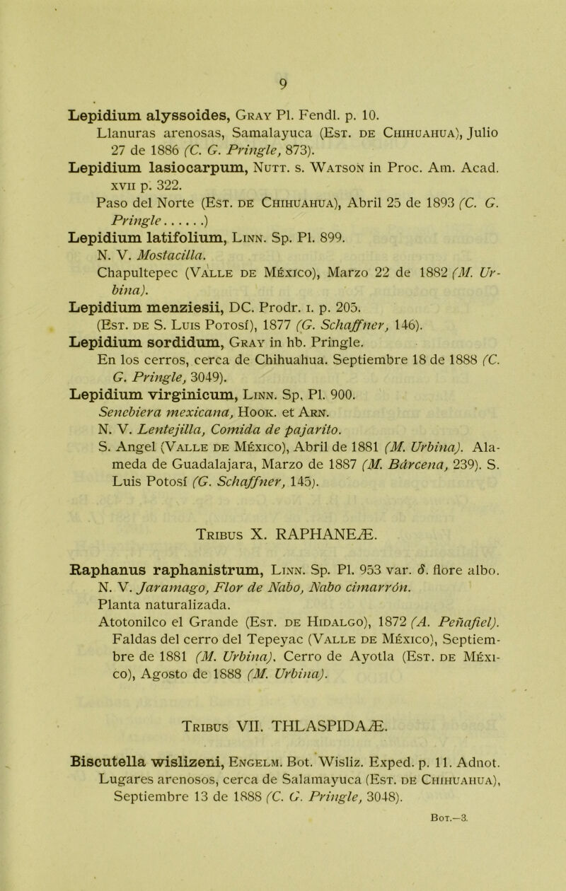 Lepidium alyssoides, Cray Pl. Fendl. p. 10. Llanuras arenosas, Samalayuca (Est. de Chihuahua), Julio 27 de 1886 (C. G. Pvingle, 873). Lepidium lasiocarpum, Nutt. s. Watsoñ in Proc. Ani. Acad. XVII p. 322. Paso del Norte (Est. de Chihuahua), Abril 25 de 1893 (C. G. Pr ingle ) Lepidium latifolium, Linn. Sp. Pl. 899. N. V. Mostacilla. Chapultepec (Valle de México), Marzo 22 de 1882 (M. Uv- hina). Lepidium menziesii, DC. Prodr. i. p. 205. (Est. de S. Luis Potosí), 1877 (G. Schajfner, 146). Lepidium sordidum, Cray in hb. Pringle. En los cerros, cerca de Chihuahua. Septiembre 18 de 1888 (C. G. Pringle, 3049). Lepidium virginicum, Linn. Sp, Pl. 900. Sencbiera mexicana, Hook. et Arn. N. V. Lentejilla, Comida de pajarito. S. Angel (Valle de México), Abril de 1881 (M. Urbina). Ala- meda de Guadalajara, Marzo de 1887 (M. Bárcena, 239). S. Luis Potosí (G. Schaffner, 145j. Tribus X. RAPHANE^. Raphanus raphanistrum, Linn. Sp. Pl. 953 var. 6. flore albo. N. V. Jar amago, Flor de Nabo, Nabo cimarrón. Planta naturalizada. Atotonilco el Grande (Est. de Hidalgo), 1872 (A. Peñafiel). Faldas del cerro del Tepeyac (Valle de México), Septiem- bre de 1881 (M. Urbina). Cerro de Ayotla (Est. de Méxi- co), Agosto de 1888 (M. Urbina). Tribus VIL THLASPIDA^. Biscutella wislizeni, Engelm. Bot. Wisliz. Exped. p. 11. Adnot. Lugares arenosos, cerca de Salamayuca (Est. de Chihuahua), Septiembre 13 de 1888 (C. G. Pringle, 3048).