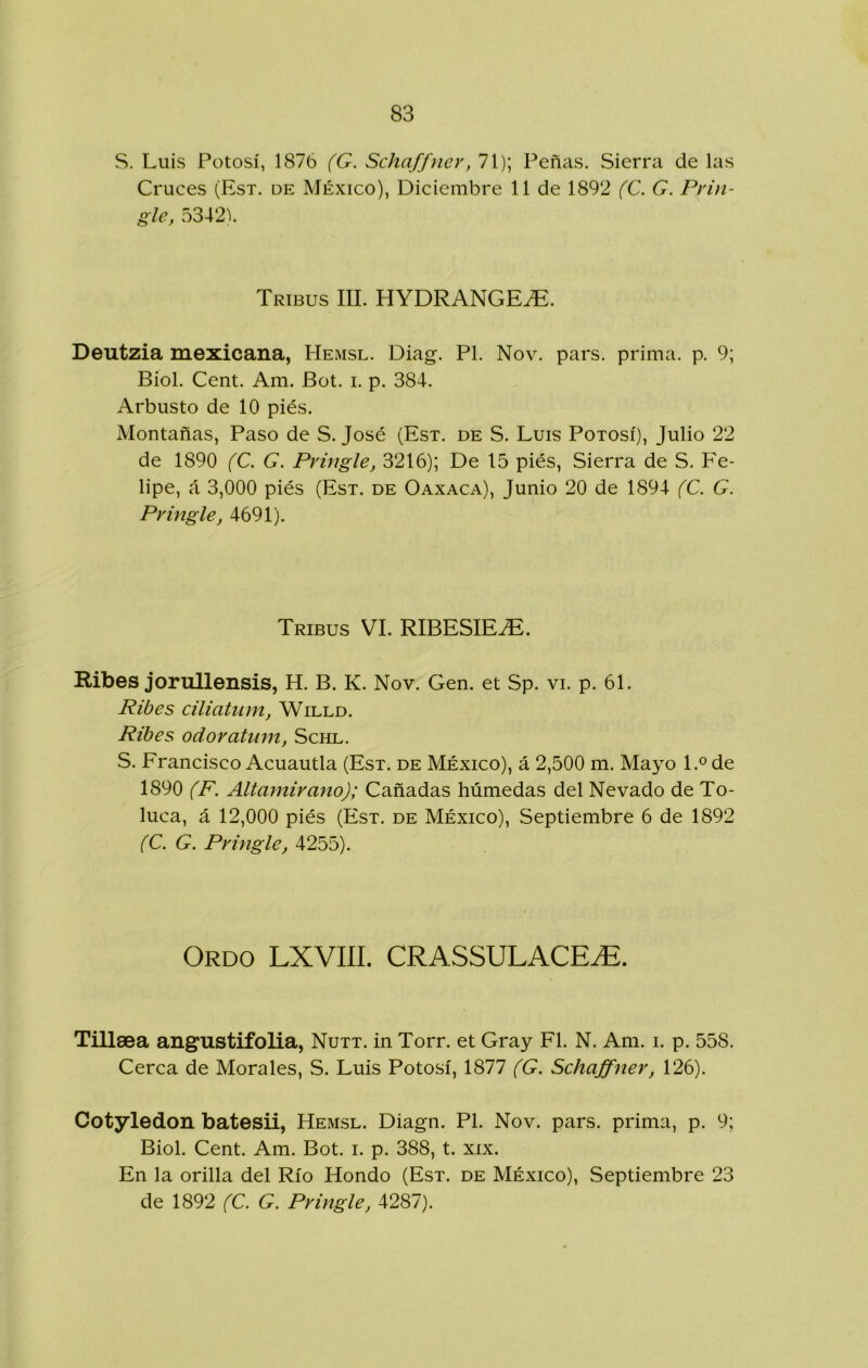 S. Luis Potosí, 1876 (G. Schaffner, 71); Peñas. Sierra de las Cruces (Esx. de México), Diciembre 11 de 1892 (C. G. Pvin- gle, 5342). Tribus III. HYDRANGE^. Deutzia mexicana, Hemsl. Diag. Pl, Nov. pars. prima, p. 9; Bíol. Cent. Am. Bot. i. p. 384. Arbusto de 10 piés. Montañas, Paso de S. José (Est. de S. Luis Potosí), Julio 22 de 1890 (C. G. Pvingle, 3216); De 15 piés, Sierra de S. Fe- lipe, á 3,000 piés (Est. de Oaxaca), Junio 20 de 1894 (C. G. Pvingle, 4691). Tribus VI. RIBESIE.^. Ribes jorullensis, H. B. K. Nov. Gen. et Sp. vi. p. 61. Pibes ciliatum, Willd. Pibes odoratum, Schl. S. Francisco Acuantia (Est. de México), á 2,500 m. Mayo l.° de 1890 (F. Altamirano); Cañadas húmedas del Nevado de To- luca, á 12,000 piés (Est. de México), Septiembre 6 de 1892 (C. G. Pvingle, 4255). Ordo LXVIII. CRASSULACE^. Tillaea angustifolia, Nutt. in Torr. et Gray Fl. N. Am. i. p. 558. Cerca de Morales, S. Luis Potosí, 1877 (G. Schajfnev, 126). Cotyledon batesii, Hemsl. Diagn. Pl. Nov. pars. prima, p. 9; Biol. Cent. Am. Bot. i. p. 388, t. xix. En la orilla del Río Hondo (Est. de México), Septiembre 23 de 1892 (C. G. Pvingle, 4287).