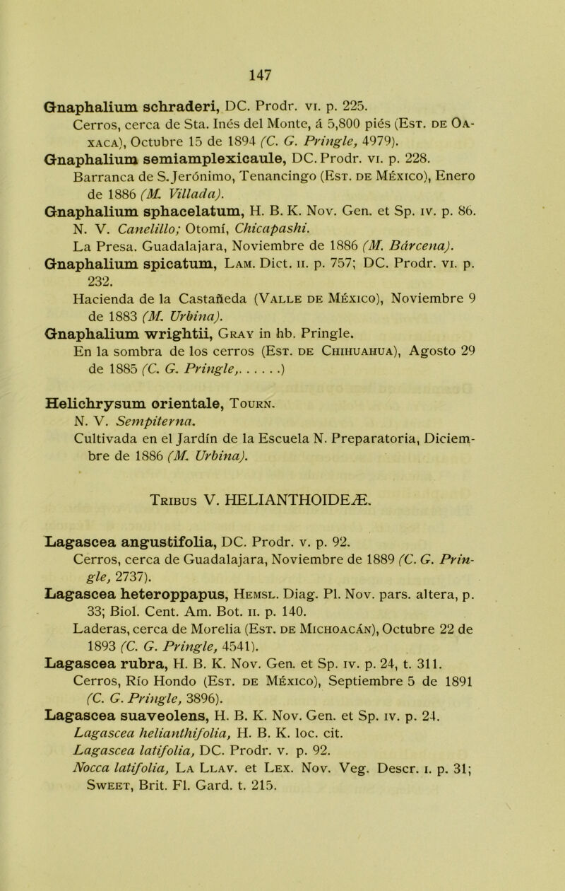 Qnaphalium schraderi, DC. Prodr. vi. p. 225. Cerros, cerca de Sta. Inés del Monte, á 5,800 piés (Est. de Oa- xaca), Octubre 15 de 1894 (C. G. Pringle, 4979). Gnaphalium semiamplexicaule, DC. Prodr. vi. p. 228. Barranca de S, Jerónimo, Tenancingo (Est. de México), Enero de 1886 (M. Villada). Gnaphalium sphacelatum, H. B. K. Nov. Gen. et Sp. iv. p. 86. N. V. Canelillo; Otomí, Chicapashi. La Presa. Guadalajara, Noviembre de 1886 (M. Barcena). Gnaphalium spicatum, Lam. Dict. ii. p. 757; DC. Prodr. vi. p. 232. Hacienda de la Castañeda (Valle de México), Noviembre 9 de 1883 (M. Urbina). Gnaphalium wrightii, Gray in hb. Pringle. En la sombra de los cerros (Est. de Chihuahua), Agosto 29 de 1885 (C. G. Pringle, ) Helichrysum oriéntale, Tourn, N. V. Sempiterna, Cultivada en el Jardín de la Escuela N. Preparatoria, Diciem- bre de 1886 (M, Urbina). Tribus V. HELIANTHOIDE^.. Lagascea angustifolia, DC. Prodr. v. p. 92. Cerros, cerca de Guadalajara, Noviembre de 1889 (C. G. Prin- gle, 2737). Lagascea heteroppapus, Hemsl. Diag. Pl. Nov. pars. altera, p. 33; Biol. Cent. Am. Bot. ii. p, 140. Laderas, cerca de Morelia (Est, de Michoacán), Octubre 22 de 1893 (C. G. Pringle, 4541). Lagascea rubra, H. B. K. Nov. Gen. et Sp. iv. p. 24, t. 311. Cerros, Río Hondo (Est. de México), Septiembre 5 de 1891 (C. G. Pringle, 3896). Lagascea suaveolens, H. B. K. Nov. Gen. et Sp. iv. p. 24. Lagascea helianthifolia, H. B. K. loe. cit. Lagascea latifolia, DC. Prodr. v. p. 92. Nocca latifolia. La Llav. et Lex. Nov. Veg. Descr. i. p. 31; SwEET, Brit. Fl. Gard. t. 215.