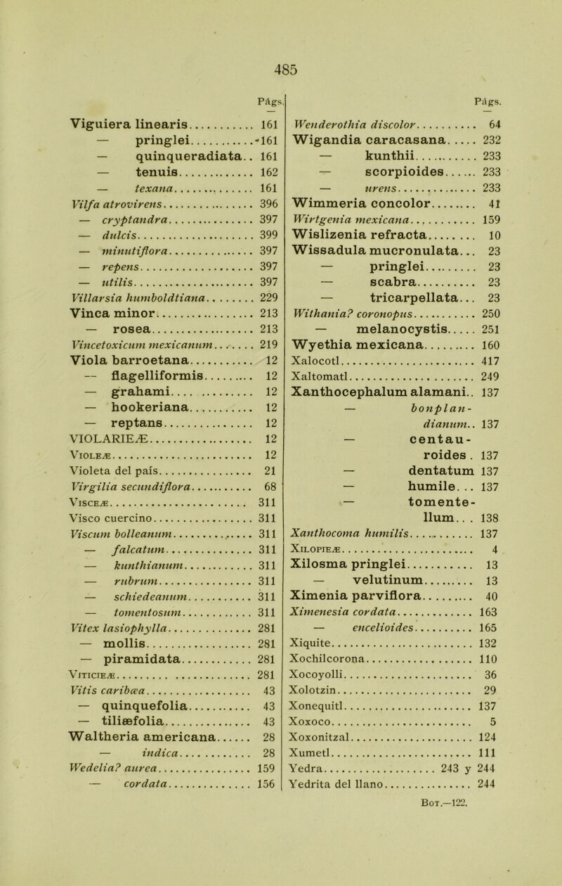 Págs. Viguiera linearis 161 — pringlei -161 — quinqueradiata.. 161 — tennis 162 — texana 161 Vilfa atrovirens 396 — cryptandra 397 — dulcís 399 — ininutiflora 397 — repens 397 — ntilis 397 Villarsia humholdtiana 229 Vinca minor . 213 — rosea 213 Vincetoxicum mexicanum 219 Viola barroetana 12 — flagelliformis 12 — grahami 12 — hookeriana 12 — reptans 12 VIOLARIEiE 12 Violen 12 Violeta del país 21 Virgilia secimdiflora 68 ViscE^ 311 Visco cuercino 311 Viscum holleantim , 311 — falcatum 311 — kunthianum 311 — rubriun 311 — schiedeannm 311 — tomentosnm 311 Vitex lasiophylla 281 — mollis 281 — piramidata 281 VlTICIE^ 281 Vitis caribcea 43 — quinquefolia 43 — tiliesfolia 43 Waltheria americana 28 — indica 28 Wedelia? aurea 159 — cordata 156 Pi\gS. WenderOtilia discolor 64 Wigandia caracasana 232 — kunthii 233 — scorpioides 233 — nrens 233 Wimmeria concolor 41 Wirtgenia mexicana 159 Wislizenia refracta 10 Wissadula mucronulata... 23 — pringlei 23 — scabra 23 — tricarpellata... 23 Withania? coronopus 250 — melanocystis 251 Wyethia mexicana 160 Xalocotl 417 Xaltomatl 249 Xanthocephalum alamani.. 137 — bonplan- dianmn.. 137 — centau- roides . 137 — dentatum 137 — humile. .. 137 — tomente- llum.. . 138 Xanthocoma humilis 137 XlLOPIE^ 4 Xilosma pringlei 13 — velutinum 13 Ximenia parviflora 40 Ximenesia cordata 163 — encelioides 165 Xiquite 132 Xochilcoroaa 110 Xocoyolli 36 Xolotzin 29 Xonequitl 137 Xoxoco 5 Xoxonitzal 124 Xumetl 111 Yedra 243 y 244 Yedrita del llano 244