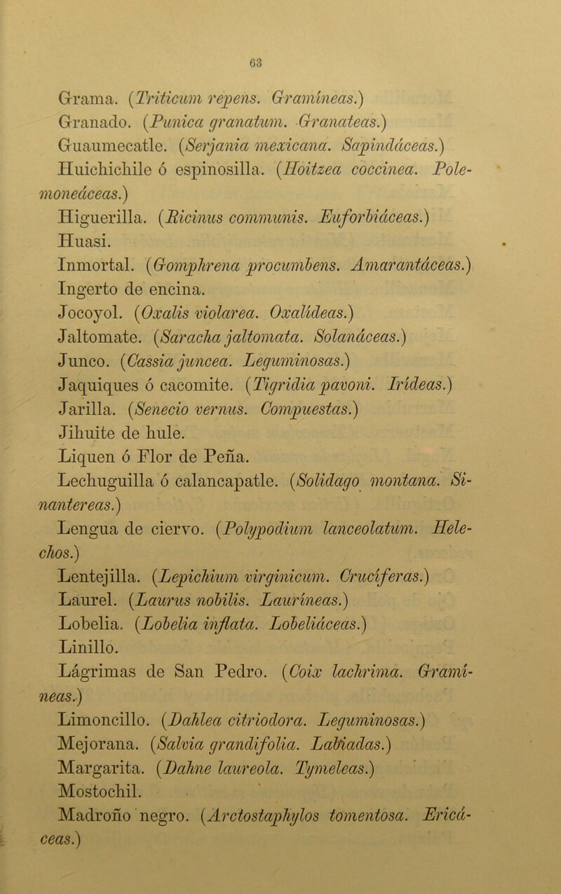 Grama. (Triticum repens. Gramíneas.) Granado. (Pícnica granatum. Granateas.) Guaumecatle. (Serjania mexicana. Sapindáceas.) Huicliicliile ó espinosilla. (Hoitzea coccínea. Pole- moneáceas.) Higuerilla. (Bicinus communis. Euforbiáceas.) Huasi. Inmortal. (Gomphrena procumbens. Amarantáceas.) Ingerto de encina. Jocoyol. (Oxalis violarea. Oxalídeas.) Jaltomate. (Saracha jaltomata. Solanáceas.) Junco. (Cassia júncea. Leguminosas.) Jaquiques ó cacomite. (Tigridiapawni. Irídeas.) Jarilla. (Senecio ver ñus. Compuestas.) Jiliuite de hule. Liquen ó Flor de Peña. Lechuguilla ó calancapatle. (Solidago montana. Si- nantereas.) Lengua de ciervo. (Polypodium lanceolatum. Helé- chos.) Lentejilla. (Lepichium virginicum. Cruciferas.) Laurel. (Laurus nobilis. Lauríneas.) Lobelia. (Lobelia inflata. Lobeliáceas.) Linillo. Lágrimas de San Pedro. (Coix laclirima. Gramí- neas.) Limoncillo. (Baldea citriodora. Leguminosas.) Mejorana. [Salvia grandifolia. Labiadas.) Margarita. (Palme laureola. Tymeleas.) Mostochil. Madroño negro. (Arctostaphylos tomentosa. Ericá- ceas)