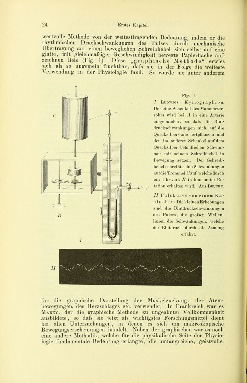 wertvolle Methode von der weitesttragenden Bedeutung, indem er die rhythmischen Druckschwankungen des Pulses durch mechanische Übertragung auf einen beweglichen Schreibhebel sich selbst auf eine glatte, mit gleichmäfsiger Geschwindigkeit bewegte Papierfläche auf- zeichnen liefs (Fig. 1). Diese „graphische Methode“ erwies sich als so ungemein fruchtbar, dafs sie in der Folge die weiteste Verwendung in der Physiologie fand. So wurde sie unter anderem Fig. 1. I Ludwigs Kymographion. Der eine Schenkel des Manometer- rohrs wird bei A in eine Arterie eingebunden, so dafs die Blut- druckschwankungen sich auf die Quecksilbersäule fortpflanzen und den im anderen Schenkel auf dem Quecksilber befindlichen Schwim- mer mit seinem Schreibhebel in Bewegung setzen. Der Schreib- hebel schreibt seine Schwankungen auf die Trommel Oauf, welche durch ein Uhrwerk B in konstanter Ro- ^ tation erhalten wird. Aus Brücke. II Pulskurve von einem Ka- ninchen. Die kleinen Erhebungen sind die Blutdruckschwankungen des Pulses, die grofsen Wellen- linien die Schwankungen, welche der Blutdruck durch die Atmung erfährt. II für die graphische Darstellung der Muskelzuckung, der Atem- bewegungen, des Herzschlages etc. verwendet. In Frankreich war es Marey, der die graphische Methode zu ungeahnter Vollkommenheit ausbildete, so dafs sie jetzt als wichtigstes Forschungsmittel dient bei allen Untersuchungen, in denen es sich um makroskopische Bewegungserscheinungen handelt. Neben der graphischen war es noch eine andere Methodik, welche für die physikalische Seite der Physio- logie fundamentale Bedeutung erlangte, die umfangreiche, geistvolle.