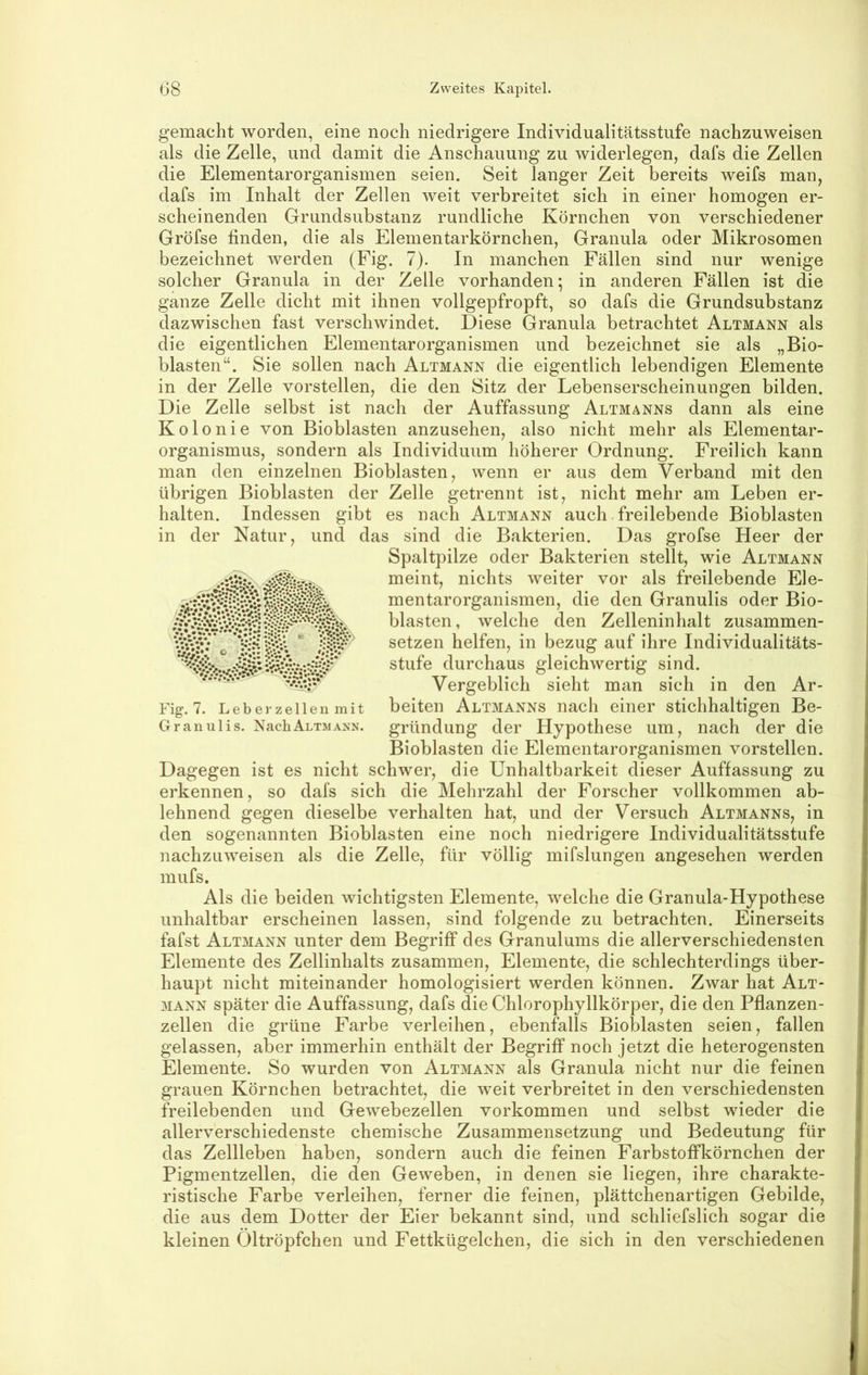gemacht worden, eine noch niedrigere Individualitätsstufe nachzuweisen als die Zelle, und damit die Anschauung zu widerlegen, dafs die Zellen die Elementarorganismen seien. Seit langer Zeit bereits weifs man, dafs im Inhalt der Zellen weit verbreitet sich in einer homogen er- scheinenden Grundsubstanz rundliche Körnchen von verschiedener Gröfse finden, die als Elementarkörnchen, Granula oder Mikrosomen bezeichnet werden (Fig. 7). In manchen Fällen sind nur wenige solcher Granula in der Zelle vorhanden; in anderen Fällen ist die ganze Zelle dicht mit ihnen vollgepfropft, so dafs die Grundsubstanz dazwischen fast verschwindet. Diese Granula betrachtet Altmann als die eigentlichen Elementarorganismen und bezeichnet sie als „Bio- blasten“. Sie sollen nach Altmann die eigentlich lebendigen Elemente in der Zelle vorstellen, die den Sitz der Lebenserscheinungen bilden. Die Zelle selbst ist nach der Auffassung Altmanns dann als eine Kolonie von Bioblasten anzusehen, also nicht mehr als Elementar- organismus, sondern als Individuum höherer Ordnung. Freilich kann man den einzelnen Bioblasten, wenn er aus dem Verband mit den übrigen Bioblasten der Zelle getrennt ist, nicht mehr am Leben er- halten. Indessen gibt es nach Altmann auch freilebende Bioblasten in der Natur, und das sind die Bakterien. Das grofse Heer der Spaltpilze oder Bakterien stellt, wie Altmann meint, nichts weiter vor als freilebende Ele- mentarorganismen, die den Granulis oder Bio- blasten, welche den Zelleninhalt zusammen- setzen helfen, in bezug auf ihre Individualitäts- stufe durchaus gleichwertig sind. Vergeblich sieht man sich in den Ar- beiten Altmanns nach einer stichhaltigen Be- gründung der Hypothese um, nach der die Bioblasten die Elementarorganismen vorstellen. Dagegen ist es nicht schwer, die Unhaltbarkeit dieser Auffassung zu erkennen, so dafs sich die Mehrzahl der Forscher vollkommen ab- lehnend gegen dieselbe verhalten hat, und der Versuch Altmanns, in den sogenannten Bioblasten eine noch niedrigere Individualitätsstufe nachzuweisen als die Zelle, für völlig mifslungen angesehen werden mufs. Als die beiden wichtigsten Elemente, welche die Granula-Hypothese unhaltbar erscheinen lassen, sind folgende zu betrachten. Einerseits fafst Altmann unter dem Begriff des Granulums die allerverschiedensten Elemente des Zellinhalts zusammen, Elemente, die schlechterdings über- haupt nicht miteinander homologisiert werden können. Zwar hat Alt- mann später die Auffassung, dafs die Chlorophyllkörper, die den Pflanzen- zellen die grüne Farbe verleihen, ebenfalls Bioblasten seien, fallen gelassen, aber immerhin enthält der Begriff noch jetzt die heterogensten Elemente. So wurden von Altmann als Granula nicht nur die feinen grauen Körnchen betrachtet, die weit verbreitet in den verschiedensten freilebenden und Gewebezellen Vorkommen und selbst wieder die allerverschiedenste chemische Zusammensetzung und Bedeutung für das Zellleben haben, sondern auch die feinen Farbstoffkörnchen der Pigmentzellen, die den Geweben, in denen sie liegen, ihre charakte- ristische Farbe verleihen, ferner die feinen, plättchenartigen Gebilde, die aus dem Dotter der Eier bekannt sind, und schliefslich sogar die kleinen Öltröpfchen und Fettkügelchen, die sich in den verschiedenen Fig. 7. L e b e ]• z e 11 e n m i t Granulis. Nach Altmann.