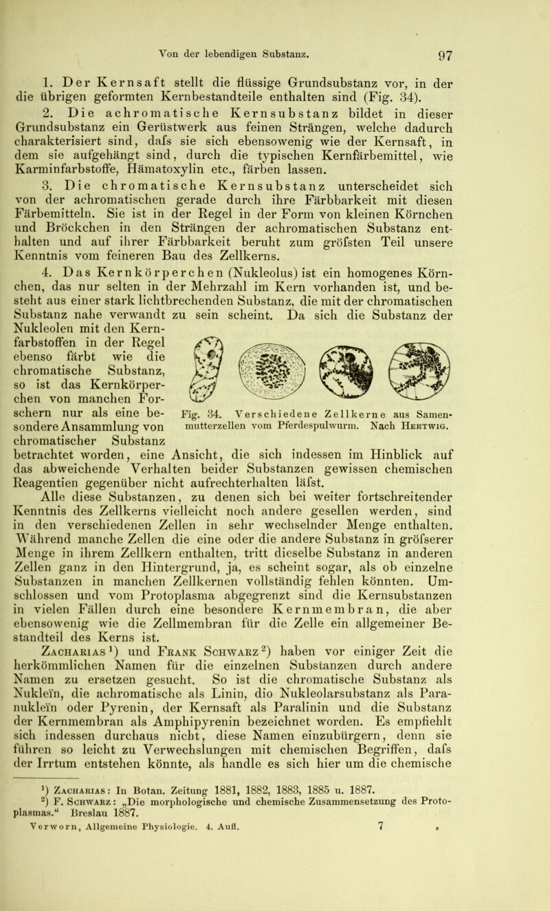 1. Der Kernsaft stellt die flüssige Grundsubstanz vor, in der die übrigen geformten Kernbestandteile enthalten sind (Fig. 34). 2. Die achromatische Kernsubstanz bildet in dieser Grundsubstanz ein Gerüstwerk aus feinen Strängen, welche dadurch charakterisiert sind, dafs sie sich ebensowenig wie der Kernsaft, in dem sie aufgehängt sind, durch die typischen Kernfärbemittel, wie Karminfarbstoffe, Hämatoxylin etc., färben lassen. 3. Die chromatische Kernsubstanz unterscheidet sich von der achromatischen gerade durch ihre Färbbarkeit mit diesen Färbemitteln. Sie ist in der Regel in der Form von kleinen Körnchen und Bröckchen in den Strängen der achromatischen Substanz ent- halten und auf ihrer Färbbarkeit beruht zum gröfsten Teil unsere Kenntnis vom feineren Bau des Zellkerns. Fig. 84. Verschiedene Zellkerne aus Samen- mutterzellen vom Pferdespulwurm. Nach Hertwig. 4. Das Kernkörperchen (Nukleolus) ist ein homogenes Körn- chen, das nur selten in der Mehrzahl im Kern vorhanden ist, und be- steht aus einer stark lichtbrechenden Substanz, die mit der chromatischen Substanz nahe verwandt zu sein scheint. Da sich die Substanz der Nukleolen mit den Kern- farbstoffen in der Regel ebenso färbt wie die chromatische Substanz, so ist das Kernkörper- chen von manchen For- schern nur als eine be- sondere Ansammlung von chromatischer Substanz betrachtet worden, eine Ansicht, die sich indessen im Hinblick auf das abweichende Verhalten beider Substanzen gewissen chemischen Reagentien gegenüber nicht aufrechterhalten läfst. Alle diese Substanzen, zu denen sich bei weiter fortschreitender Kenntnis des Zellkerns vielleicht noch andere gesellen werden, sind in den verschiedenen Zellen in sehr wechselnder Menge enthalten. Während manche Zellen die eine oder die andere Substanz in gröfserer Menge in ihrem Zellkern enthalten, tritt dieselbe Substanz in anderen Zellen ganz in den Hintergrund, ja, es scheint sogar, als ob einzelne Substanzen in manchen Zellkernen vollständig fehlen könnten. Um- schlossen und vom Protoplasma abgegrenzt sind die Kernsubstanzen in vielen Fällen durch eine besondere Kernmembran, die aber ebensowenig wie die Zellmembran für die Zelle ein allgemeiner Be- standteil des Kerns ist. Zacharias^) und Frank Schwarz^) haben vor einiger Zeit die herkömmlichen Namen für die einzelnen Substanzen durch andere Namen zu ersetzen gesucht. So ist die chromatische Substanz als Nuklein, die achromatische als Linin, dio Nukleolarsubstanz als Para- nuklein oder Pyrenin, der Kernsaft als Paralinin und die Substanz der Kernmembran als Amphipyrenin bezeichnet worden. Es empfiehlt sich indessen durchaus nicht, diese Namen einzubürgern, denn sie führen so leicht zu Verwechslungen mit chemischen Begriffen, dafs der Irrtum entstehen könnte, als handle es sich hier um die chemische 9 Zacharias : In Botan. Zeitung 1881, 1882, 1883, 1885 u. 1887. F. Schwarz : „Die morphologische und chemische Zusammensetzung des Proto- plasmas.“ Breslau 1887. Verworn, Allgemeine Physiologie. 4. Aull. 7