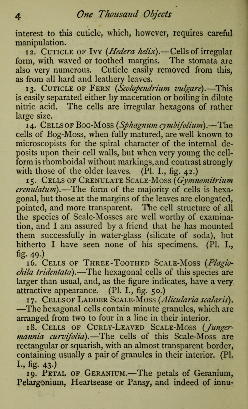 interest to this cuticle, which, however, requires careful manipulation. 12. Cuticle of Ivy (Hedera helix).—Cells of irregular form, with waved or toothed margins. The stomata are also very numerous. Cuticle easily removed from this, as from all hard and leathery leaves. 13. Cuticle of Fern (Scolopendrium vulgare).—This is easily separated either by maceration or boiling in dilute nitric acid. The cells are irregular hexagons of rather large size. 14. Cells of Bog-Moss (Sphagnum cymbifolium).—The cells of Bog-Moss, when fully matured, are well known to microscopists for the spiral character of the internal de- posits upon their cell walls, but when very young the cell- form is rhomboidal without markings, and contrast strongly with those of the older leaves. (PI. I., fig. 42.) 15. Cells of Crenulate Scale-Moss (Gynmomitrium crenulatum).—The form of the majority of cells is hexa- gonal, but those at the margins of the leaves are elongated, pointed, and more transparent. Hie cell structure of all the species of Scale-Mosses are well worthy of examina- tion, and I am assured by a friend that he has mounted them successfully in water-glass (silicate of soda), but hitherto I have seen none of his specimens. (PI. I., fig. 49.) 16. Cells of Three-Toothed Scale-Moss (Plagio- chila tridcntatd).—The hexagonal cells of this species are larger than usual, and, as the figure indicates, have a very attractive appearance. (PI. I., fig. 50.) 17. Cellsof Ladder Scale-Moss (Alicularia scalaris). —The hexagonal cells contain minute granules, which are arranged from two to four in a line in their interior. 18. Cells of Curly-Leaved Scale-Moss (Junger- ?nannia curvifolia).—The cells of this Scale-Moss are rectangular or squarish, with an almost transparent border, containing usually a pair of granules in their interior. (PI. I-» 43-) 19. Petal of Geranium.—The petals of Geranium, Pelargonium, Heartsease or Pansy, and indeed of innu-