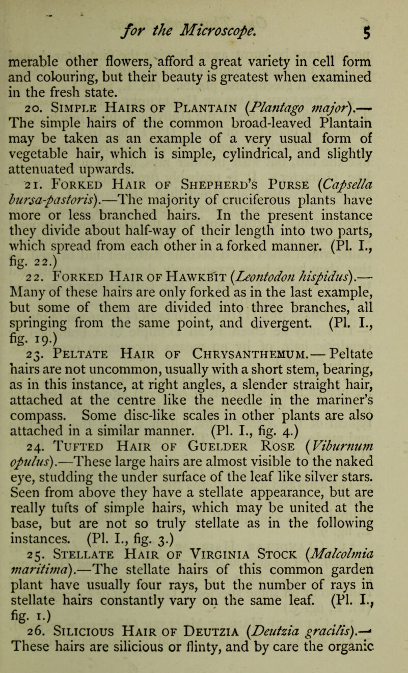 merable other flowers, afford a great variety in cell form and colouring, but their beauty is greatest when examined in the fresh state. 20. Simple Hairs of Plantain (Plantago major).— The simple hairs of the common broad-leaved Plantain may be taken as an example of a very usual form of vegetable hair, which is simple, cylindrical, and slightly attenuated upwards. 21. Forked Hair of Shepherd’s Purse (Capsella bursa-pastoris).—The majority of cruciferous plants have more or less branched hairs. In the present instance they divide about half-way of their length into two parts, which spread from each other in a forked manner. (PI. I., fig. 2 2.) 22. Forked Hair of Hawkb'it (Leontodon hispid us).— Many of these hairs are only forked as in the last example, but some of them are divided into three branches, all springing from the same point, and divergent. (PI. I., fig. 19.) 23. Peltate Hair of Chrysanthemum.— Peltate hairs are not uncommon, usually with a short stem, bearing, as in this instance, at right angles, a slender straight hair, attached at the centre like the needle in the mariner’s compass. Some disc-like scales in other plants are also attached in a similar manner. (PI. I., fig. 4.) 24. Tufted Hair of Guelder Rose (Viburnum opulus).—These large hairs are almost visible to the naked eye, studding the under surface of the leaf like silver stars. Seen from above they have a stellate appearance, but are really tufts of simple hairs, which may be united at the base, but are not so truly stellate as in the following instances. (PI. I., fig. 3.) 25. Stellate Hair of Virginia Stock (Malcolmia maritimd).—The stellate hairs of this common garden plant have usually four rays, but the number of rays in stellate hairs constantly vary on the same leaf. (PI. I., fig. 1.) 26. Silicious Hair of Deutzia (Deutzia gracilis).-— These hairs are silicious or flinty, and by care the organic