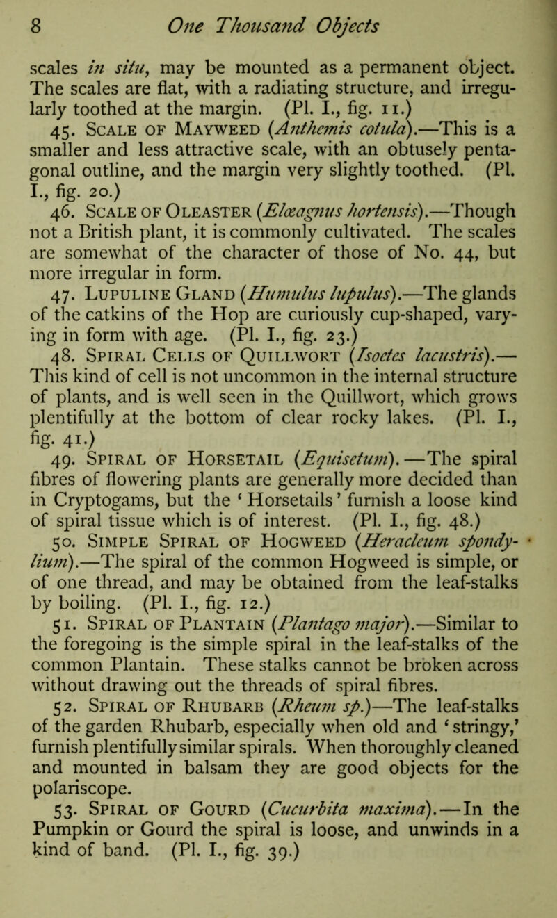 scales in situ, may be mounted as a permanent object. The scales are flat, with a radiating structure, and irregu- larly toothed at the margin. (PI. I., fig. n.) 45. Scale of Mayweed (Anthemis cotula).—This is a smaller and less attractive scale, with an obtusely penta- gonal outline, and the margin very slightly toothed. (PI. I., fig. 20.) 46. Scale of Oleaster (Eleeagnus hortensis).—Though not a British plant, it is commonly cultivated. The scales are somewhat of the character of those of No. 44, but more irregular in form. 47. Lupuline Gland (Humulus lupulus).—The glands of the catkins of the Hop are curiously cup-shaped, vary- ing in form with age. (PI. I., fig. 23.) 48. Spiral Cells of Quillwort (Isoetes lacustris).— This kind of cell is not uncommon in the internal structure of plants, and is well seen in the Quillwort, which grows plentifully at the bottom of clear rocky lakes. (PI. I., fig. 41.) 49. Spiral of Horsetail (Fquisetum).—The spiral fibres of flowering plants are generally more decided than in Cryptogams, but the ‘ Horsetails ’ furnish a loose kind of spiral tissue which is of interest. (PI. I., fig. 48.) 50. Simple Spiral of Hogweed (Herackum spondy- • Hum).—The spiral of the common Hogweed is simple, or of one thread, and may be obtained from the leaf-stalks by boiling. (PI. I., fig. 12.) 51. Spiral of Plantain (Plantago major).—Similar to the foregoing is the simple spiral in the leaf-stalks of the common Plantain. These stalks cannot be broken across without drawing out the threads of spiral fibres. 52. Spiral of Rhubarb (Rheum sp.)—The leaf-stalks of the garden Rhubarb, especially when old and ‘ stringy/ furnish plentifully similar spirals. When thoroughly cleaned and mounted in balsam they are good objects for the polariscope. 53. Spiral of Gourd (Cucurbita maxinia). — In the Pumpkin or Gourd the spiral is loose, and unwinds in a kind of band. (PI. I., fig. 39.)