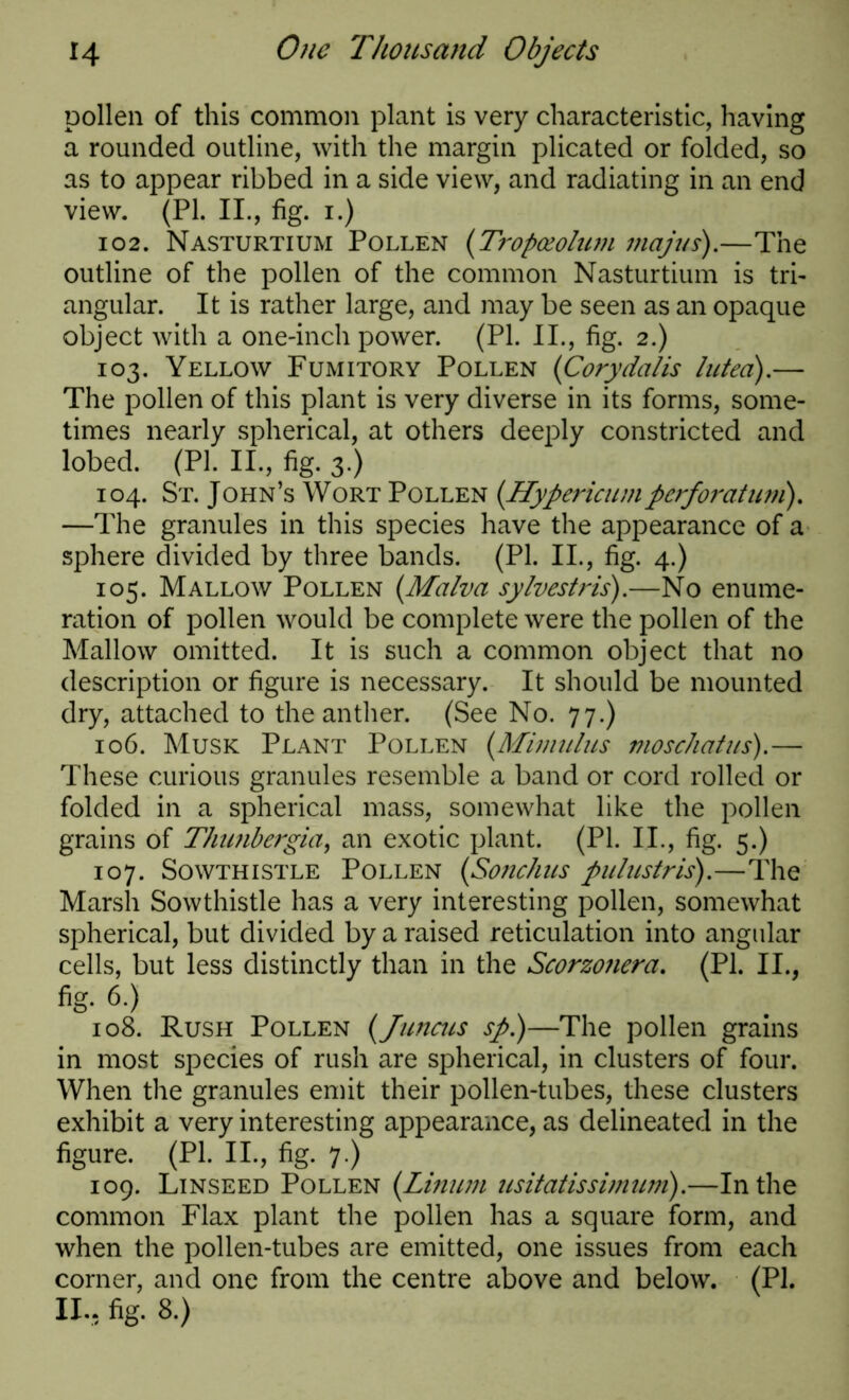 pollen of this common plant is very characteristic, having a rounded outline, with the margin plicated or folded, so as to appear ribbed in a side view, and radiating in an end view. (PI. II., fig. i.) 102. Nasturtium Pollen (Tropceolum majus).—The outline of the pollen of the common Nasturtium is tri- angular. It is rather large, and may be seen as an opaque object with a one-inch power. (PI. II., fig. 2.) 103. Yellow Fumitory Pollen (Corydalis luted).— The pollen of this plant is very diverse in its forms, some- times nearly spherical, at others deeply constricted and lobed. (PL II., fig. 3.) 104. St. John’s Wort Pollen (Hypericum perforatum). —The granules in this species have the appearance of a sphere divided by three bands. (PI. II., fig. 4.) 105. Mallow Pollen {Malva sylvestris).—No enume- ration of pollen would be complete were the pollen of the Mallow omitted. It is such a common object that no description or figure is necessary. It should be mounted dry, attached to the anther. (See No. 77.) 106. Musk Plant Pollen (Mimulus moschatus).— These curious granules resemble a band or cord rolled or folded in a spherical mass, somewhat like the pollen grains of Thunbergia, an exotic plant. (PI. II., fig. 5.) 107. Sowthistle Pollen (So?ichus pulustris).—The Marsh Sowthistle has a very interesting pollen, somewhat spherical, but divided by a raised reticulation into angular cells, but less distinctly than in the Scorzo?iera. (PI. II., fig. 6.) 108. Rush Pollen (Juncus sp.)—The pollen grains in most species of rush are spherical, in clusters of four. When the granules emit their pollen-tubes, these clusters exhibit a very interesting appearance, as delineated in the figure. (PI. II., fig. 7.) 109. Linseed Pollen (Linum usitatissimum).—In the common Flax plant the pollen has a square form, and when the pollen-tubes are emitted, one issues from each corner, and one from the centre above and below. (PL