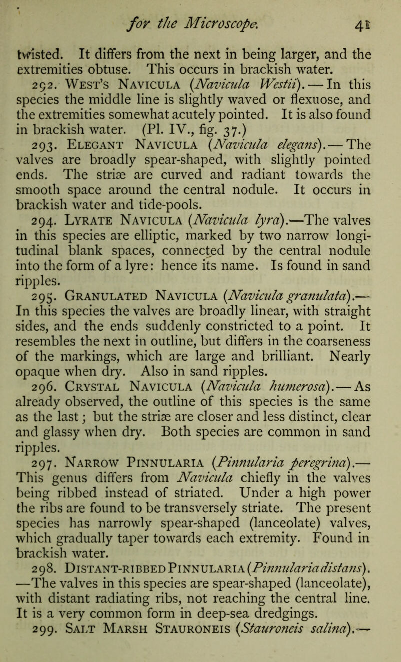 twisted. It differs from the next in being larger, and the extremities obtuse. This occurs in brackish water. 292. West’s Navicula (Navicula Westii). — In this species the middle line is slightly waved or flexuose, and the extremities somewhat acutely pointed. It is also found in brackish water. (PI. IV., fig. 37.) 293. Elegant Navicula (.Navicula elegans). — The valves are broadly spear-shaped, with slightly pointed ends. The striae are curved and radiant towards the smooth space around the central nodule. It occurs in brackish water and tide-pools. 294. Lyrate Navicula (Navicula lyra).—The valves in this species are elliptic, marked by two narrow longi- tudinal blank spaces, connected by the central nodule into the form of a lyre: hence its name. Is found in sand ripples. 295. Granulated Navicula {Navicula granulata).— In this species the valves are broadly linear, with straight sides, and the ends suddenly constricted to a point. It resembles the next in outline, but differs in the coarseness of the markings, which are large and brilliant. Nearly opaque when dry. Also in sand ripples. 296. Crystal Navicula {Navicula humerosa). — As already observed, the outline of this species is the same as the last; but the striae are closer and less distinct, clear and glassy when dry. Both species are common in sand ripples. 297. Narrow Pinnularia {Pinnularia peregrine).— This genus differs from Navicula chiefly in the valves being ribbed instead of striated. Under a high power the ribs are found to be transversely striate. The present species has narrowly spear-shaped (lanceolate) valves, which gradually taper towards each extremity. Found in brackish water. 298. Distant-ribbed Pinnularia {Pinnulariadista?is). —The valves in this species are spear-shaped (lanceolate), with distant radiating ribs, not reaching the central line. It is a very common form in deep-sea dredgings. 299. Salt Marsh Stauroneis (<Stauroneis salina),—