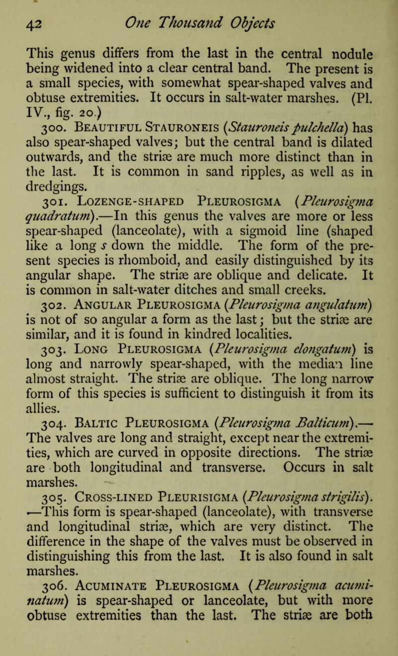 This genus differs from the last in the central nodule being widened into a clear central band. The present is a small species, with somewhat spear-shaped valves and obtuse extremities. It occurs in salt-water marshes. (PI. IV., fig. 20.) 300. Beautiful Stauroneis (Stauroneispulchella) has also spear-shaped valves; but the central band is dilated outwards, and the striae are much more distinct than in the last. It is common in sand ripples, as well as in dredgings. 301. Lozenge-shaped Pleurosigma (Pleurosigma quadratum).—In this genus the valves are more or less spear-shaped (lanceolate), with a sigmoid line (shaped like a long s down the middle. The form of the pre- sent species is rhomboid, and easily distinguished by its angular shape. The striae are oblique and delicate. It is common in salt-water ditches and small creeks. 302. Angular Pleurosigma {Pleurosigma angulatum) is not of so angular a form as the last; but the striae are similar, and it is found in kindred localities. 303. Long Pleurosigma {Pleurosigma elongatum) is long and narrowly spear-shaped, with the median line almost straight. The striae are oblique. The long narrow form of this species is sufficient to distinguish it from its allies. 304. Baltic Pleurosigma {Pleurosigma Balticum).— The valves are long and straight, except near the extremi- ties, which are curved in opposite directions. The striae are both longitudinal and transverse. Occurs in salt marshes. 305. Cross-lined Pleurisigma {Pleurosigmastrigilis). «—This form is spear-shaped (lanceolate), with transverse and longitudinal striae, which are very distinct. The difference in the shape of the valves must be observed in distinguishing this from the last. It is also found in salt marshes. 306. Acuminate Pleurosigma {Pleurosigma acumi- natum) is spear-shaped or lanceolate, but with more obtuse extremities than the last. The striae are both