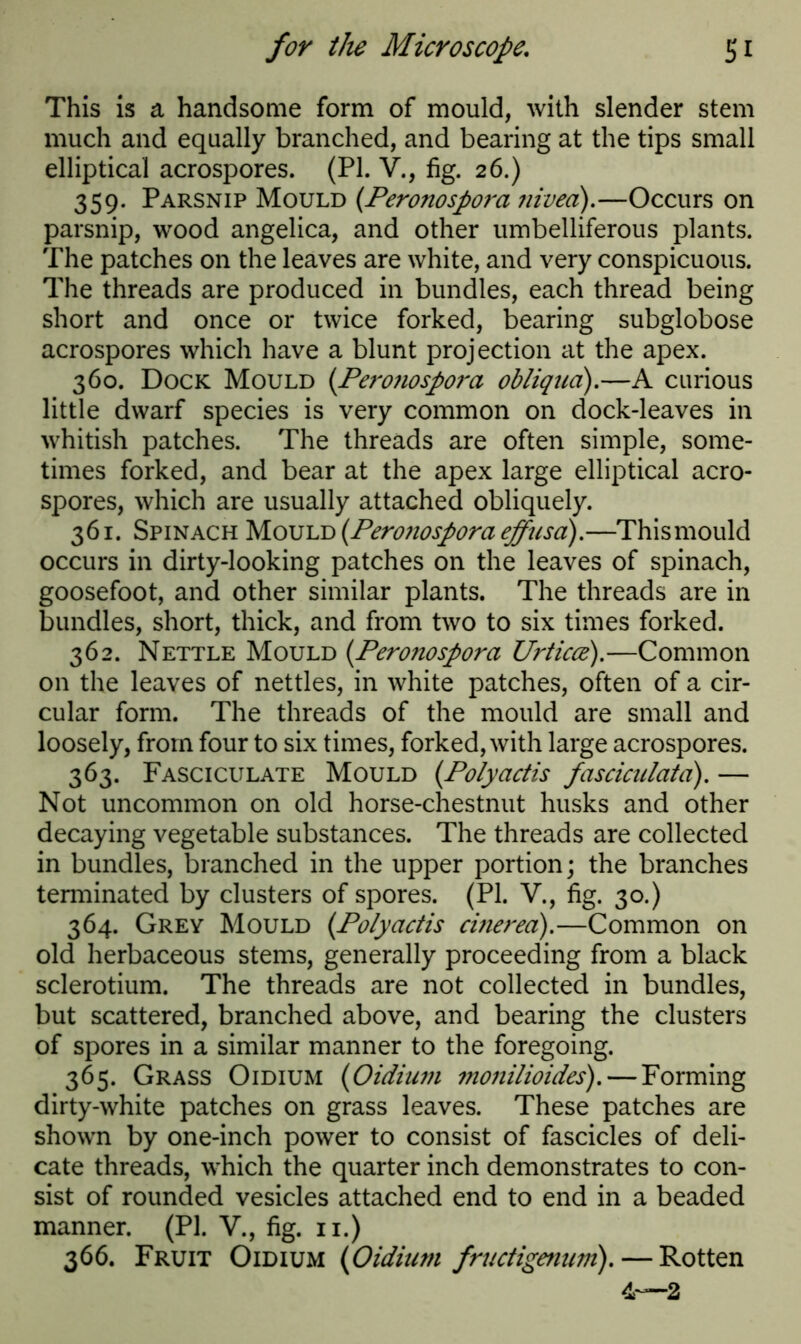 This is a handsome form of mould, with slender stem much and equally branched, and bearing at the tips small elliptical acrospores. (PI. V., fig. 26.) 359. Parsnip Mould (Peronospora nivea).—Occurs on parsnip, wood angelica, and other umbelliferous plants. The patches on the leaves are white, and very conspicuous. The threads are produced in bundles, each thread being short and once or twice forked, bearing subglobose acrospores which have a blunt projection at the apex. 360. Dock Mould (Peronospora obliqnci).—A curious little dwarf species is very common on dock-leaves in whitish patches. The threads are often simple, some- times forked, and bear at the apex large elliptical acro- spores, which are usually attached obliquely. 361. Spinach Mould (.Peronospora effusci).—This mould occurs in dirty-looking patches on the leaves of spinach, goosefoot, and other similar plants. The threads are in bundles, short, thick, and from two to six times forked. 362. Nettle Mould (.Peronospora Urticce).—Common on the leaves of nettles, in white patches, often of a cir- cular form. The threads of the mould are small and loosely, from four to six times, forked, with large acrospores. 363. Fasciculate Mould (Polyactis fasciculata). — Not uncommon on old horse-chestnut husks and other decaying vegetable substances. The threads are collected in bundles, branched in the upper portion; the branches terminated by clusters of spores. (PI. V., fig. 30.) 364. Grey Mould {Polyactis cinerea).—Common on old herbaceous stems, generally proceeding from a black sclerotium. The threads are not collected in bundles, but scattered, branched above, and bearing the clusters of spores in a similar manner to the foregoing. 365. Grass Oidium {Oidium ?nonilioides).— Forming dirty-white patches on grass leaves. These patches are shown by one-inch power to consist of fascicles of deli- cate threads, which the quarter inch demonstrates to con- sist of rounded vesicles attached end to end in a beaded manner. (PI. V., fig. n.) 366. Fruit Oidium {Oidium fructigenum). — Rotten 4—2