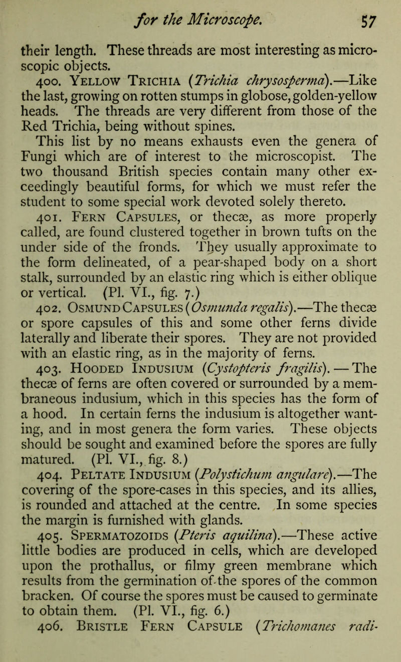 their length. These threads are most interesting as micro- scopic objects. 400. Yellow Trichia (Trichia chrysospermd).—Like the last, growing on rotten stumps in globose, golden-yellow heads. The threads are very different from those of the Red Trichia, being without spines. This list by no means exhausts even the genera of Fungi which are of interest to the microscopist. The two thousand British species contain many other ex- ceedingly beautiful forms, for which we must refer the student to some special work devoted solely thereto. 401. Fern Capsules, or thecae, as more properly- called, are found clustered together in brown tufts on the under side of the fronds. They usually approximate to the form delineated, of a pear-shaped body on a short stalk, surrounded by an elastic ring which is either oblique or vertical. (PI. VI., fig. 7.) 402. Osmund Capsules (Osmunda regalis).—The thecae or spore capsules of this and some other ferns divide laterally and liberate their spores. They are not provided with an elastic ring, as in the majority of ferns. 403. Hooded Indusium (Cystopteris fragilis). — The thecae of ferns are often covered or surrounded by a mem- braneous indusium, which in this species has the form of a hood. In certain ferns the indusium is altogether want- ing, and in most genera the form varies. These objects should be sought and examined before the spores are fully matured. (PI. VI.,.fig. 8.) 404. Peltate Indusium (Po/ystichum angulare).—The covering of the spore-cases in this species, and its allies, is rounded and attached at the centre. In some species the margin is furnished with glands. 405. Spermatozoids (Pteris aquilma).—These active little bodies are produced in cells, which are developed upon the prothallus, or filmy green membrane which results from the germination of-the spores of the common bracken. Of course the spores must be caused to germinate to obtain them. (PI. VI., fig. 6.) 406. Bristle Fern Capsule (Trichomanes radi-