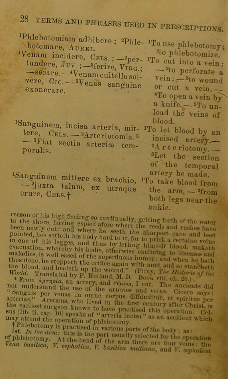 •Phlebotomiam adhibere • botomare, Aueel. ’ Wenam incidere, Cels. ; —2per- undere, Juv. ;—^ferire, Vieg.- --sffcare. —•‘V enam cultello sol- vere, Cic. — 5Vends sanguine exonerare. • ° • ^Sanguinem, incisa arteria, mit- --2Arteriotomia,* riat sectio arterias tem- poralis. ^San^inem mittere ex brachio, — juxta talum, ex utroque crure, CELs.f ^ To use phlebotomy; ^to phlebotomize. ^To cut into a vein ; — ^to perforate a vein;.— S[Q wound or cut a vein. ^To open a vein by' a knife. _5To un- load the veins of blood. ^To let blood by an incised artery. *A r teriotomy. ®Let the section of the temporal artery be made. 'To take blood from the arm, — 2from both legs near the ankle. to the sliore, halin- espied afore of the water been newly cut: alS where seeth have pointed, hee setteth his body hard to R for to’^nwl ''“f *'est in one of Ms leaires and tlm« i.,i lih- a certaine veine evacuation, whereby’his bodie ottfertri«Al> “V':''*' blmid, maketh maladies, is well eased of the siinerflimififi*^”*^ <liseases and thus done, he stoppeth the oriflel. f. and when he hath the blond, and hS up Z worn,d  Vm-«b‘n«>eth P irolland, M.D. Dook not niidors?and'*’hZise*^oP'm”^ ^ did “+p'i‘m''1 '’Peratioi'i of phlebMon, 1st practised in various harts of the bodv • as- of phiebotomyr At u\VL*nd MG ‘'‘’■•‘'•e opemtion Fena tesRicZ P cr Z '‘•‘® foor veins: the . Cfp/ialica, V. basilica mcduma, and 1'. ctphalica