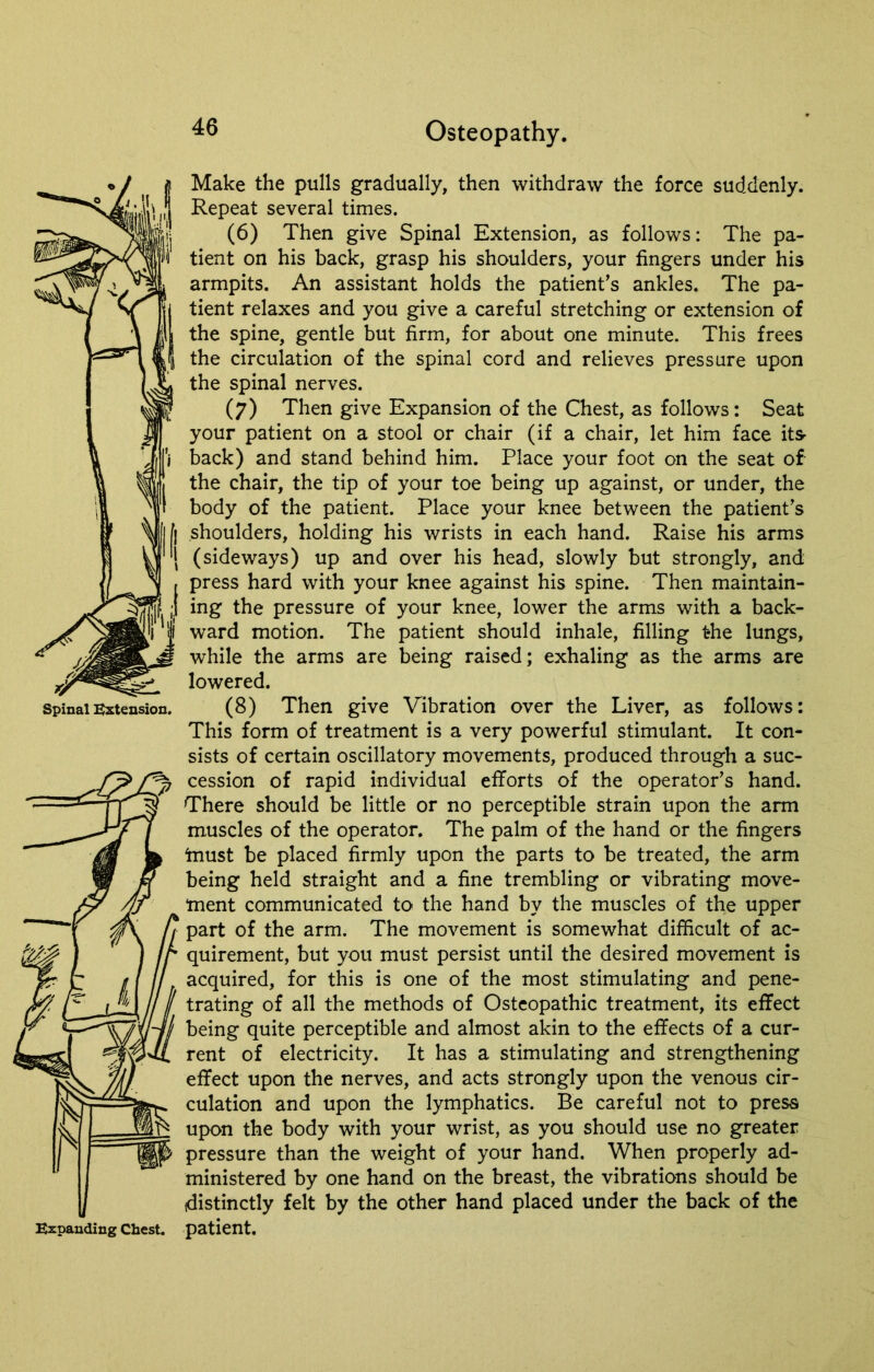 Make the pulls gradually, then withdraw the force suddenly. Repeat several times. (6) Then give Spinal Extension, as follows: The pa- tient on his back, grasp his shoulders, your fingers under his armpits. An assistant holds the patient's ankles. The pa- tient relaxes and you give a careful stretching or extension of the spine, gentle but firm, for about one minute. This frees the circulation of the spinal cord and relieves pressure upon the spinal nerves. (7) Then give Expansion of the Chest, as follows: Seat your patient on a stool or chair (if a chair, let him face its back) and stand behind him. Place your foot on the seat of the chair, the tip of your toe being up against, or under, the body of the patient. Place your knee between the patient's shoulders, holding his wrists in each hand. Raise his arms (sideways) up and over his head, slowly but strongly, and press hard with your knee against his spine. Then maintain- ing the pressure of your knee, lower the arms with a back- ward motion. The patient should inhale, filling the lungs, while the arms are being raised; exhaling as the arms are lowered. This form of treatment is a very powerful stimulant. It con- sists of certain oscillatory movements, produced through a suc- cession of rapid individual efforts of the operator's hand. There should be little or no perceptible strain upon the arm muscles of the operator. The palm of the hand or the fingers tnust be placed firmly upon the parts to be treated, the arm being held straight and a fine trembling or vibrating move- ment communicated to the hand by the muscles of the upper part of the arm. The movement is somewhat difficult of ac- quirement, but you must persist until the desired movement is acquired, for this is one of the most stimulating and pene- trating of all the methods of Osteopathic treatment, its effect being quite perceptible and almost akin to the effects of a cur- rent of electricity. It has a stimulating and strengthening effect upon the nerves, and acts strongly upon the venous cir- culation and upon the lymphatics. Be careful not to press upon the body with your wrist, as you should use no greater pressure than the weight of your hand. When properly ad- ministered by one hand on the breast, the vibrations should be (distinctly felt by the other hand placed under the back of the patient.