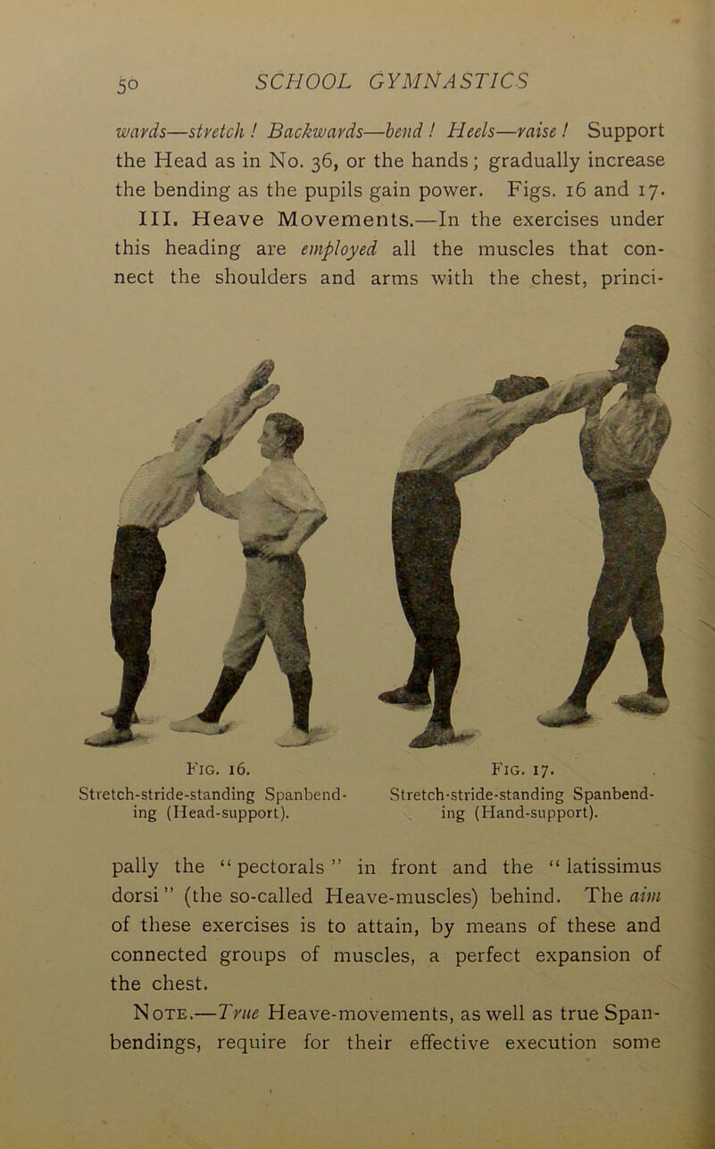 wards—stretch ! Backwards—bend ! Heels—raise! Support the Head as in No. 36, or the hands; gradually increase the bending as the pupils gain power. Figs. 16 and 17. III. Heave Movements.—In the exercises under this heading are employed all the muscles that con- nect the shoulders and arms with the chest, princi- Fig. 16. Stvetch-stride-standing Spanbend- ing (Head-support). Fig. 17. Stretch-stride-standing Spanbend- ing (Hand-support). pally the “pectorals” in front and the “ latissimus dorsi ” (the so-called Heave-muscles) behind. The aim of these exercises is to attain, by means of these and connected groups of muscles, a perfect expansion of the chest. Note.—True Heave-movements, as well as true Span- bendings, require for their effective execution some