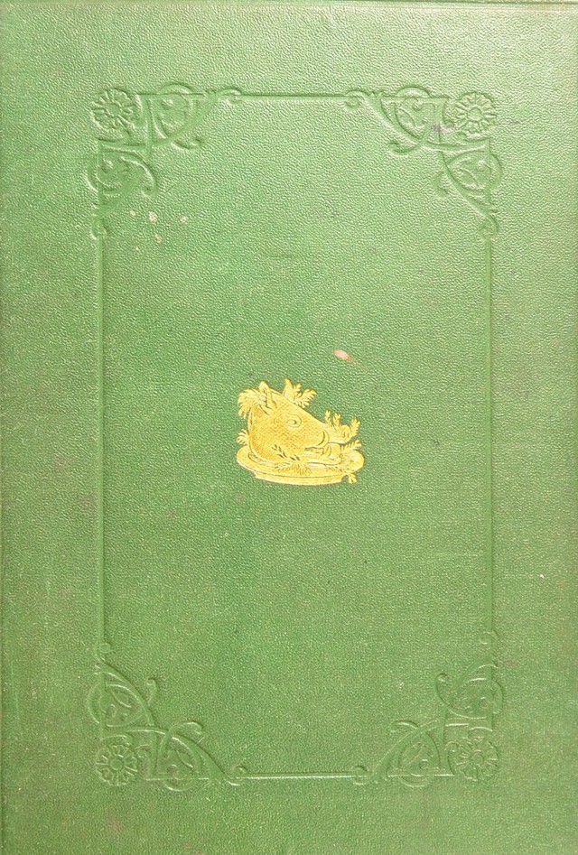 No text description is available for this image