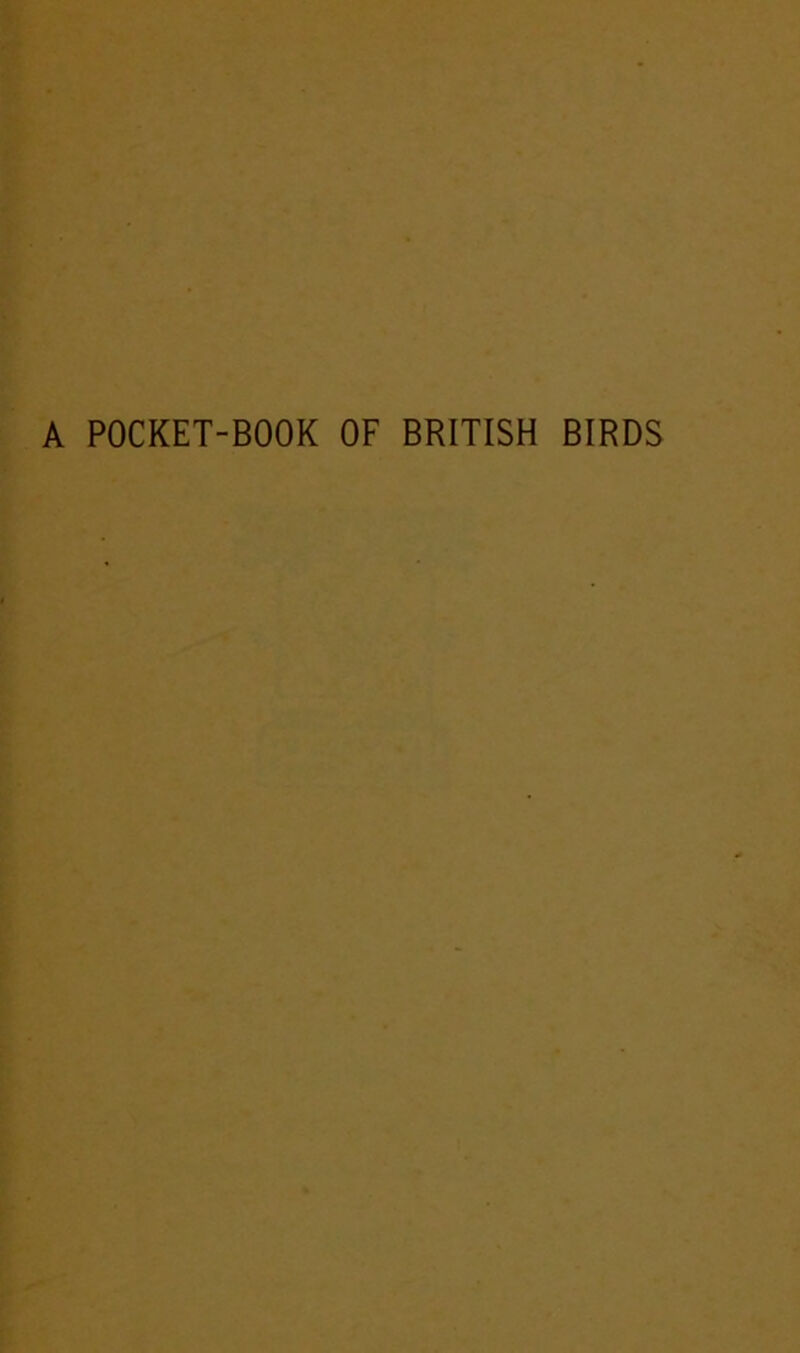 A POCKET-BOOK OF BRITISH BIRDS