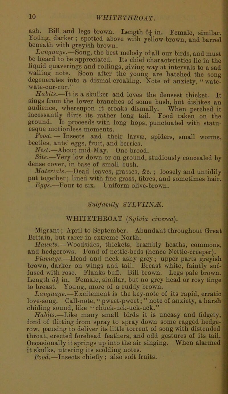 WHITETHROA T. ash. Bill and legs brown. Length 6| in. Female, similar. Young, darker; spotted above with yellow-brown, and barred beneath with greyish brown. Language.—Song, the best melody of all our birds, and must be heard to be appreciated. Its chief characteristics lie in the liquid quaverings and rollings, giving way at intervals to a sad wailing note. Soon after the young are hatched the song degenerates into a dismal croaking. Note of anxiety, “ wate- wate-cur-cur.” Habits.—It is a skulker and loves the densest thicket. It sings from the lower branches of some bush, but dislikes an audience, whereupon it croaks dismally. When perched it incessantly flirts its rather long tail. Food taken on the ground. It proceeds with long hops, punctuated with statu- esque motionless moments. Food. — Insects and their larval, spiders, small worms, beetles, ants’ eggs, fruit, and berries. Nest.—About mid-May. One brood. Site.—Very low down or on ground, studiously concealed by dense cover, in base of small bush. Materials.—Dead leaves, grasses, &c.; loosely and untidily put together; lined with fine grass, fibres, and sometimes hair. Eggs.—Four to six. Uniform olive-brown. Subfamily SYLVIINsE. WHITETHROAT (Sylvia cinerea). Migrant; April to September. Abundant throughout Great Britain, but rarer in extreme North. Haunts.—Woodsides, thickets, brambly heaths, commons, and hedgerows. Fond of nettle-beds (hence Nettle-creeper). Plumage.—Head and neck ashy grey; upper parts greyish brown, darker on wings and tail. Breast white, faintly suf- fused with rose. Flanks buff. Bill brown. Legs pale brown. Length 5J in. Female, similar, but no grey head or rosy tinge to breast. Young, more of a ruddy brown. Language.—Excitement is the key-note of its rapid, erratic love-song. Call-note, “ pweet-pweet; ” note of anxiety, a harsh chiding sound, like “ chuck-uclc-uck-uck.” Habits.—Like many small birds it is uneasy and fidgety, fond of flitting from spray to spray down some ragged hedge- row, pausing to deliver its little torrent of song with distended throat, erected forehead feathers, and odd gestures of its tail. Occasionally it springs up into the air singing. When alarmed it skulks, uttering its scolding notes. Food.—Insects chiefly ; also soft fruits.
