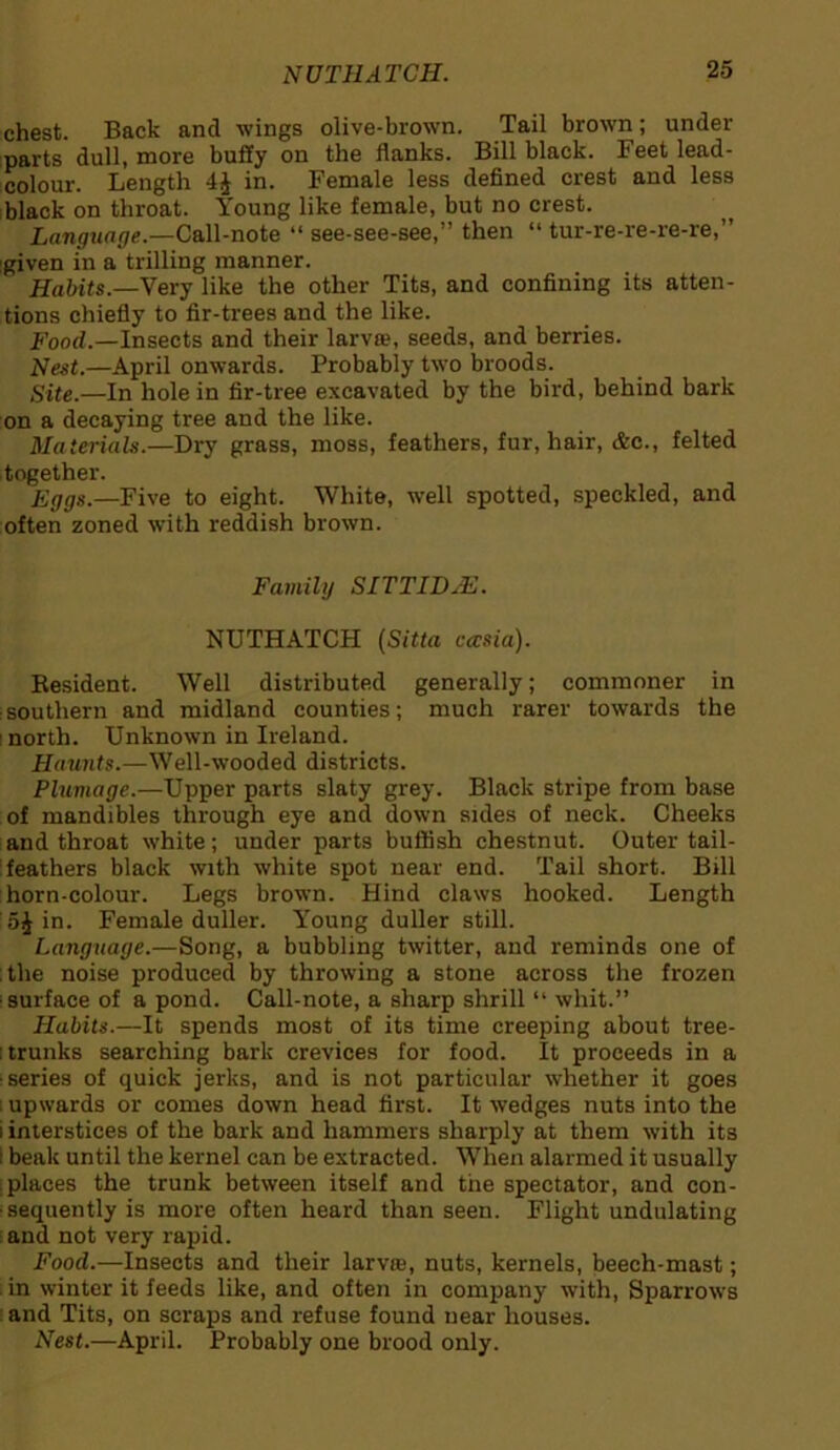 chest. Back and wings olive-brown. Tail brown; under parts dull, more buffy on the flanks. Bill black. Feet lead- colour. Length 4£ in. Female less defined crest and less black on throat. Young like female, but no crest. Language.—Call-note “ see-see-see,” then “ tur-re-re-re-re,” given in a trilling manner. Habits.—Very like the other Tits, and confining its atten- tions chiefly to fir-trees and the like. Food.—Insects and their larva1, seeds, and berries. Nest.—April onwards. Probably two broods. Site.—In hole in fir-tree excavated by the bird, behind bark on a decaying tree and the like. Materials.—Dry grass, moss, feathers, fur, hair, &c., felted together. Eggs.—Five to eight. White, well spotted, speckled, and often zoned with reddish brown. Family SITTIDjE. NUTHATCH (Sitta cccsia). Besident. Well distributed generally; commoner in southern and midland counties; much rarer towards the north. Unknown in Ireland. Haunts.—Well-wooded districts. Plumage.—Upper parts slaty grey. Black stripe from base of mandibles through eye and down sides of neck. Cheeks and throat white; under parts bullish chestnut. Outer tail- feathers black with white spot near end. Tail short. Bill horn-colour. Legs brown. Hind claws hooked. Length 5J in. Female duller. Young duller still. Language.—Song, a bubbling twitter, and reminds one of the noise produced by throwing a stone across the frozen surface of a pond. Call-note, a sharp shrill “ whit.” Habits.—It spends most of its time creeping about tree- trunks searching bark crevices for food. It proceeds in a series of quick jerks, and is not particular whether it goes upwards or comes down head first. It wedges nuts into the i interstices of the bark and hammers sharply at them with its I beak until the kernel can be extracted. When alarmed it usually places the trunk between itself and the spectator, and con- sequently is more often heard than seen. Flight undulating and not very rapid. Food.—Insects and their larvte, nuts, kernels, beech-mast; in winter it feeds like, and often in company with, Sparrows and Tits, on scraps and refuse found near houses. Nest.—April. Probably one brood only.